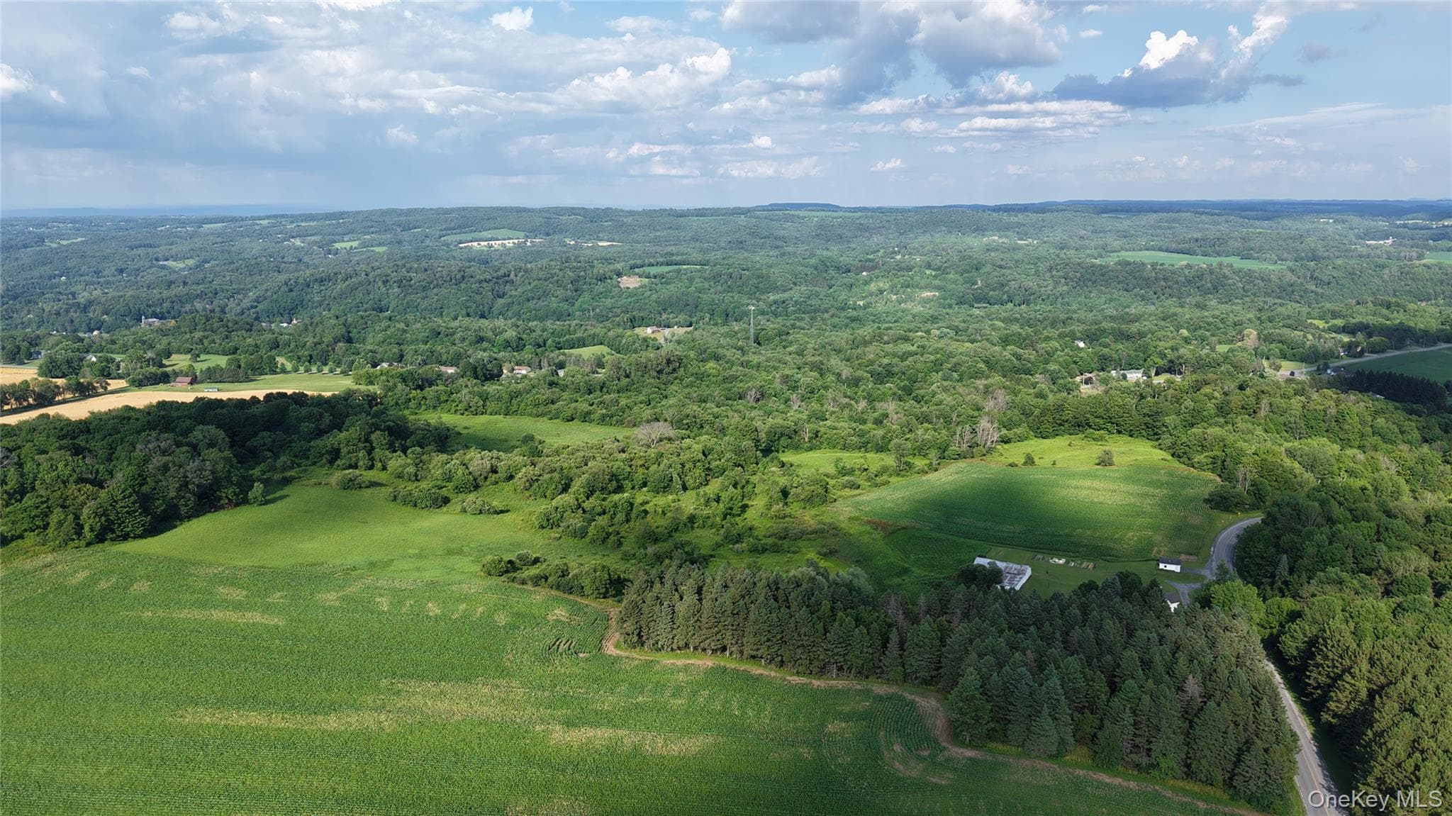 9339 Crooked Hill Road thumbnail 37
