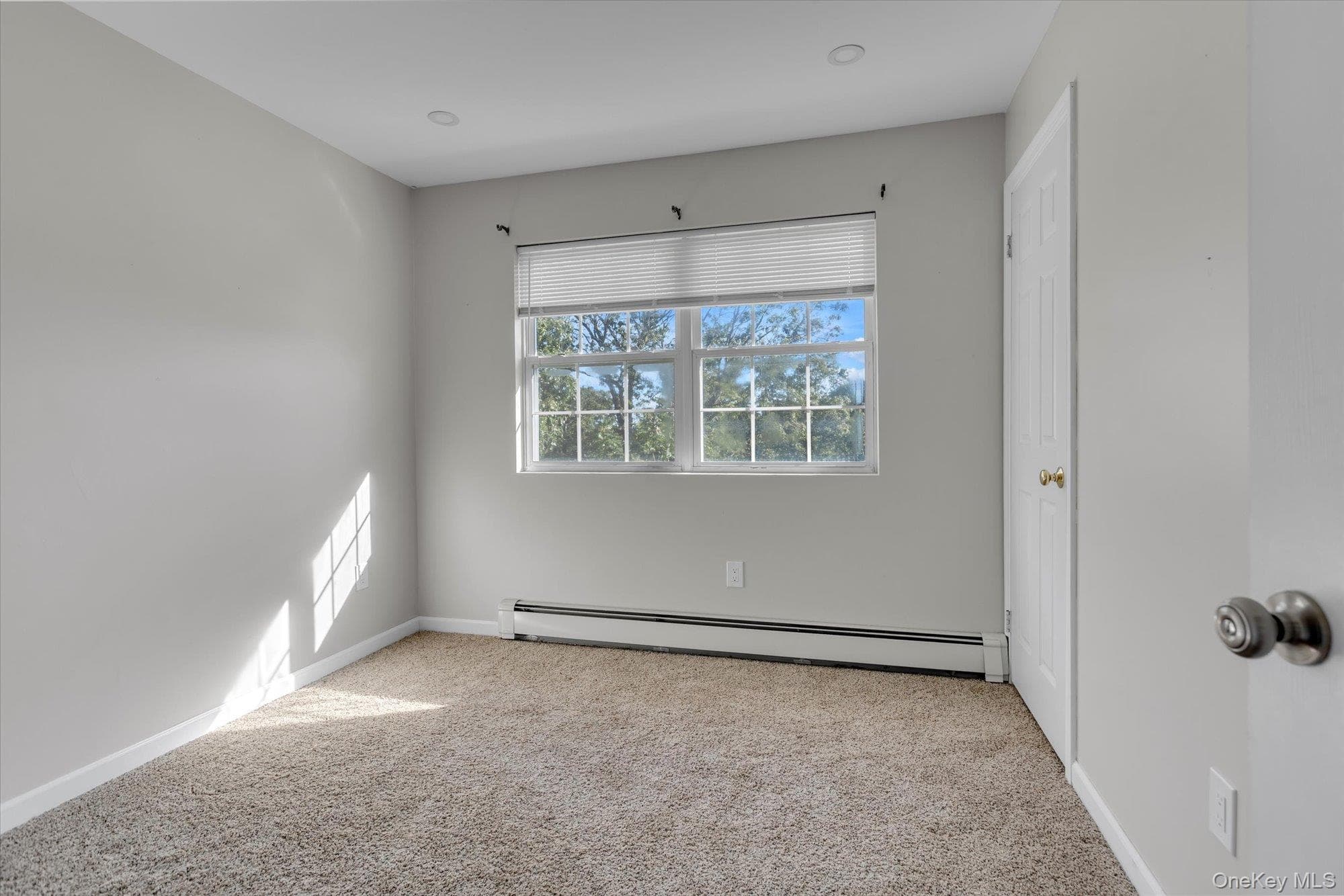 39 Elder Avenue thumbnail 19