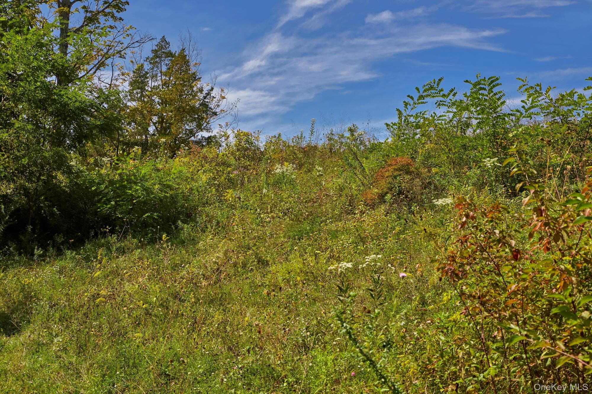 Mill Road thumbnail 10