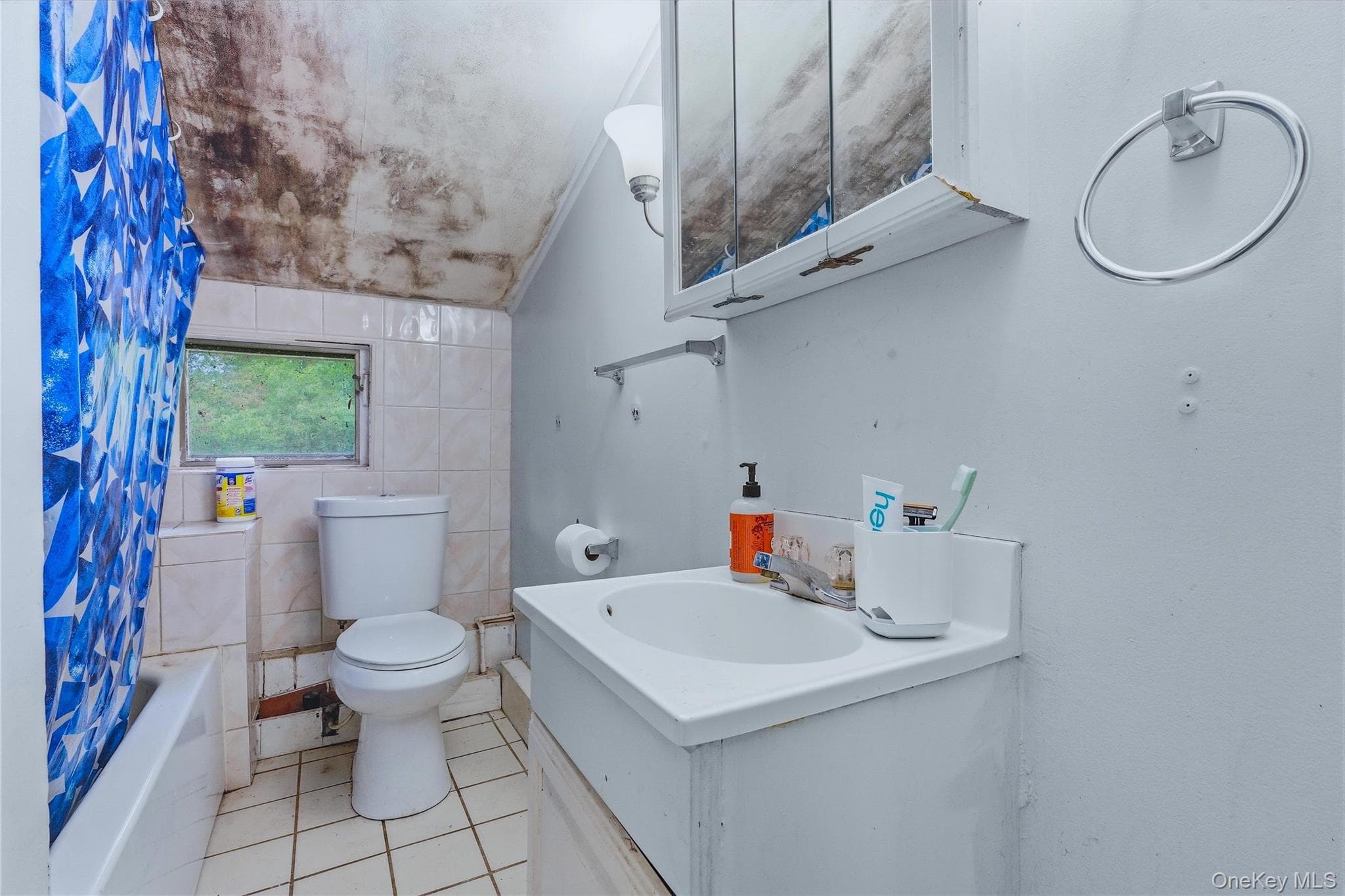 5 Douglas Drive thumbnail 38
