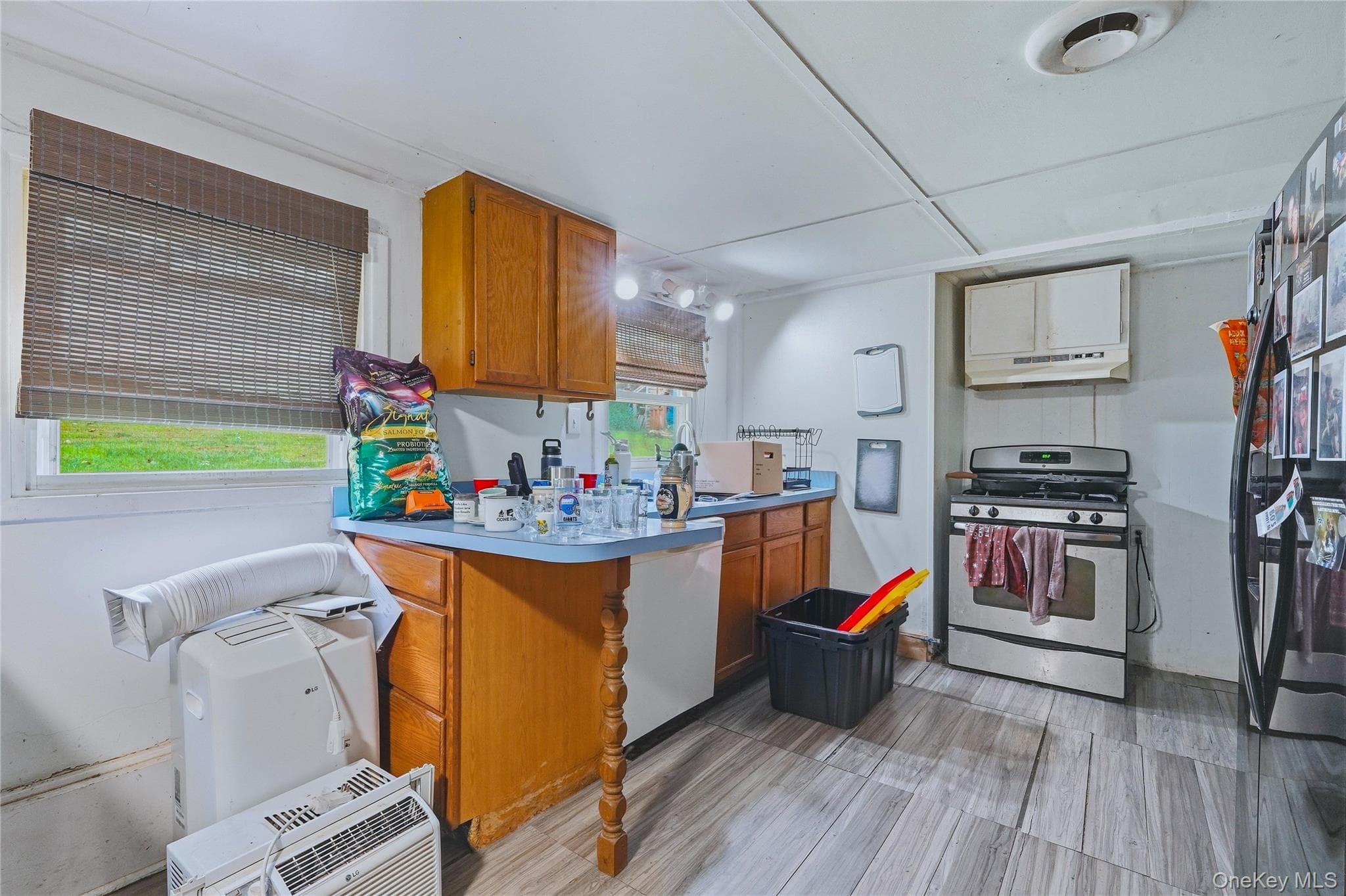 5 Douglas Drive thumbnail 31