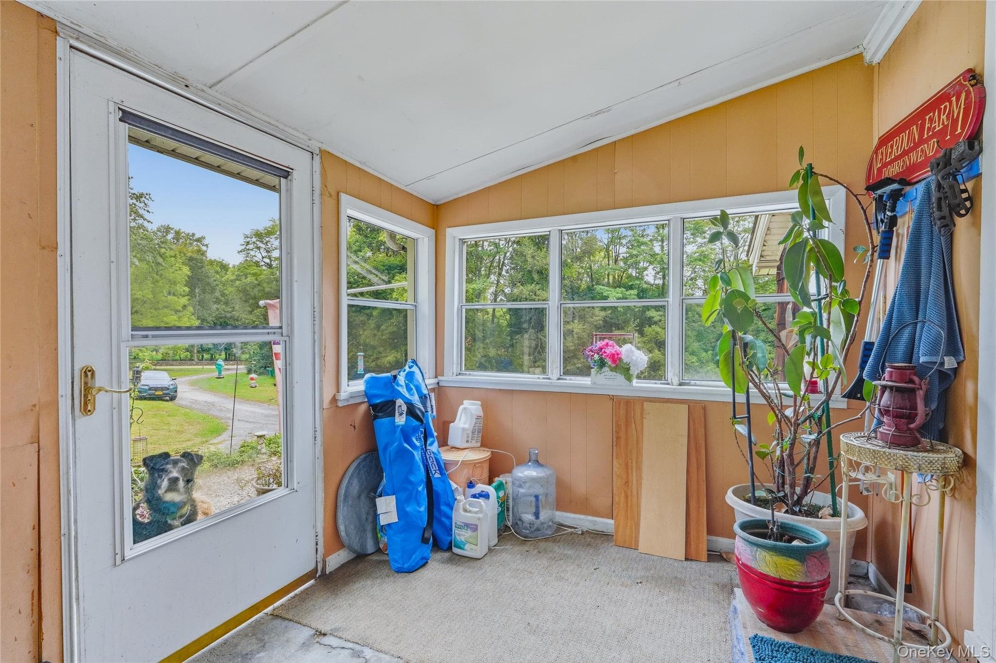 5 Douglas Drive thumbnail 27