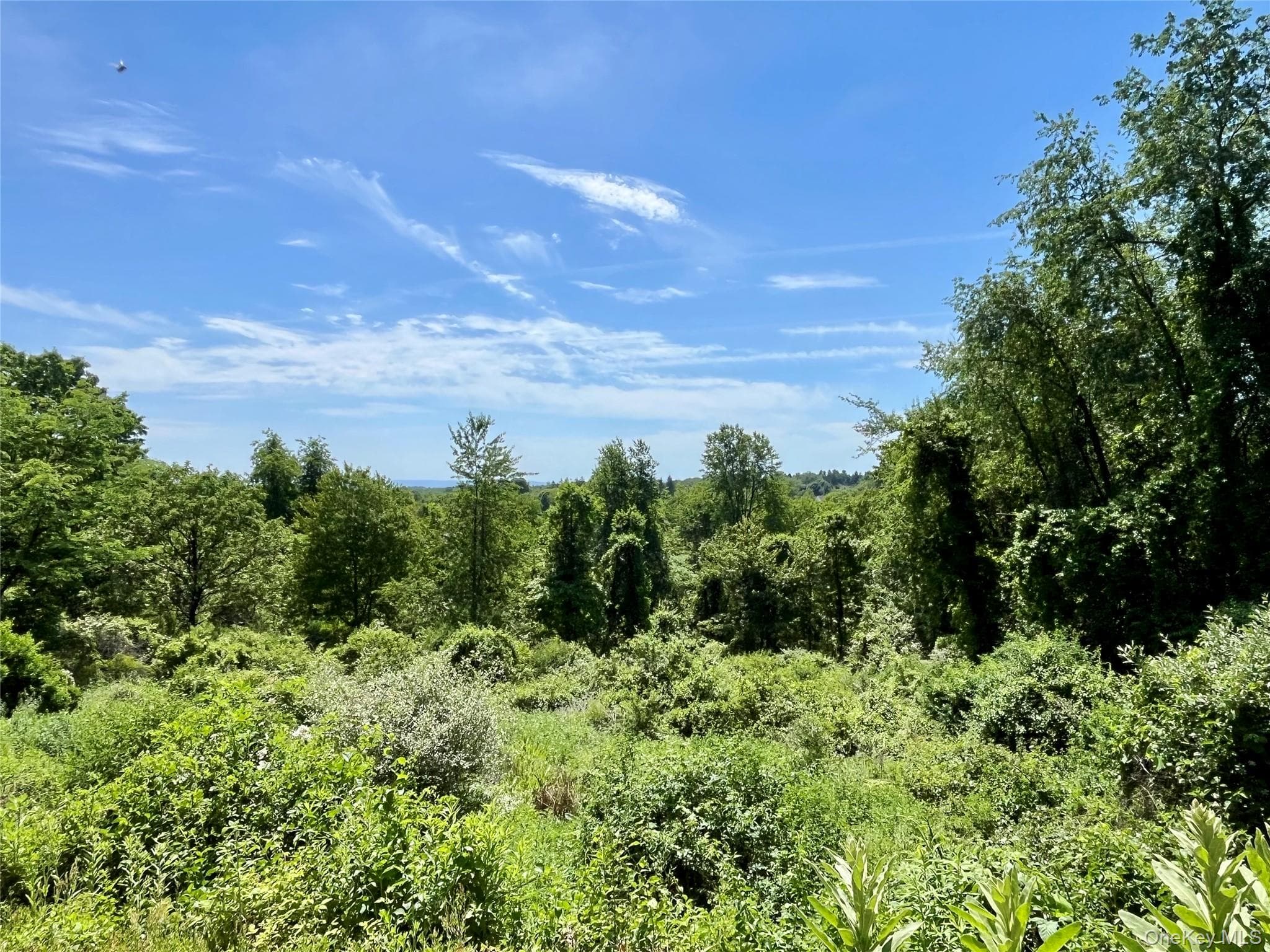 470 Ingrassia Road thumbnail 3