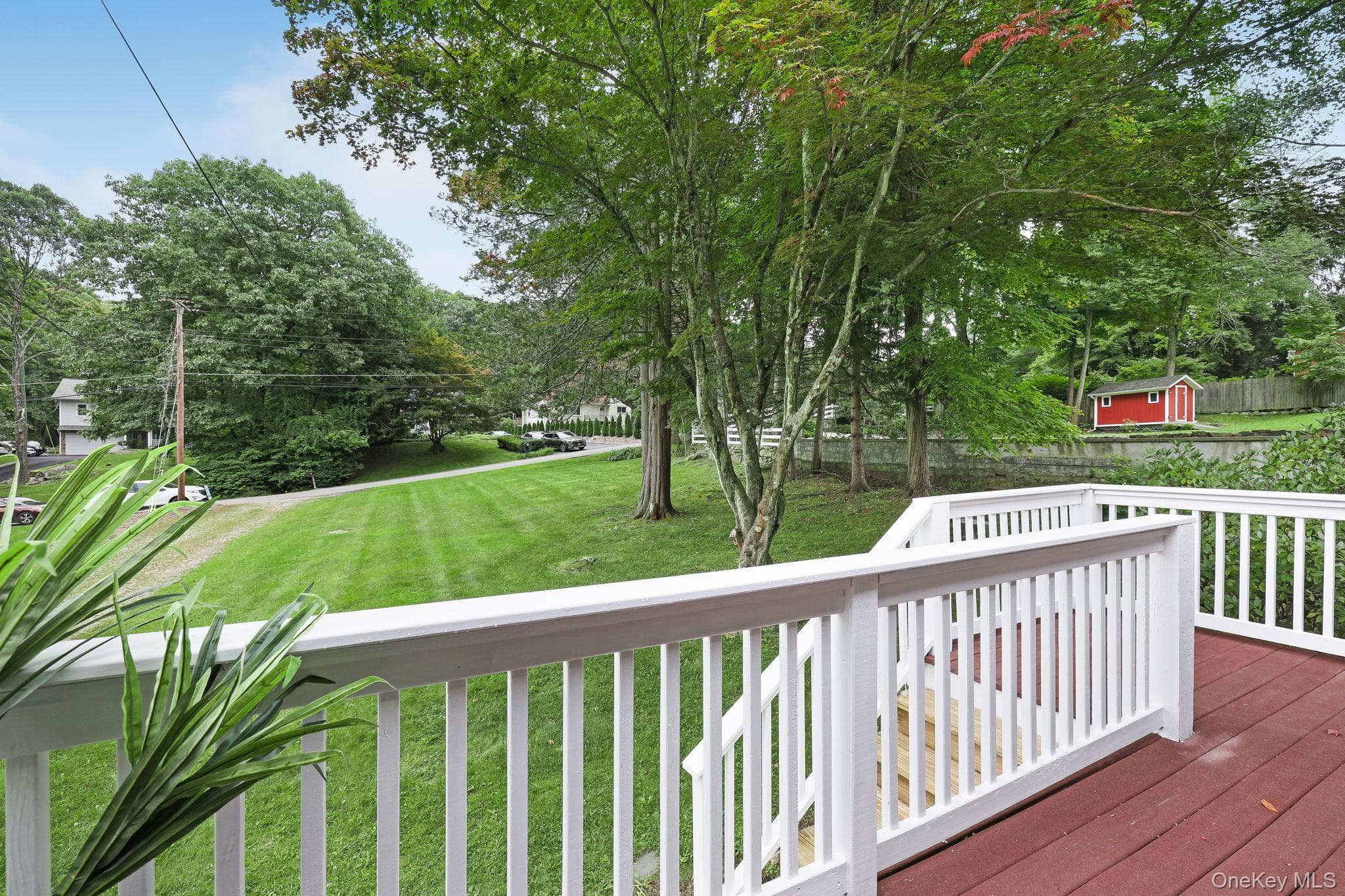 13 Arbutus Street thumbnail 34