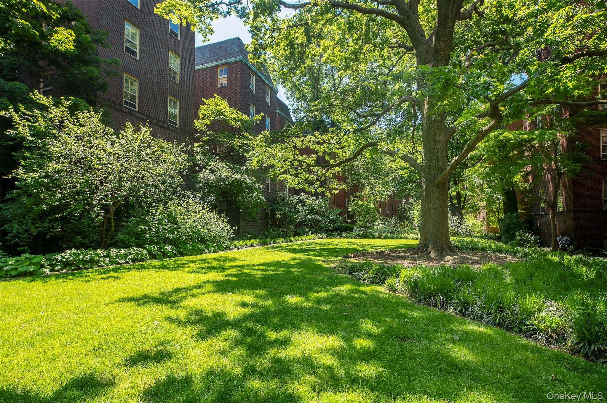 34-22 81 Street Unit: 42 thumbnail 16
