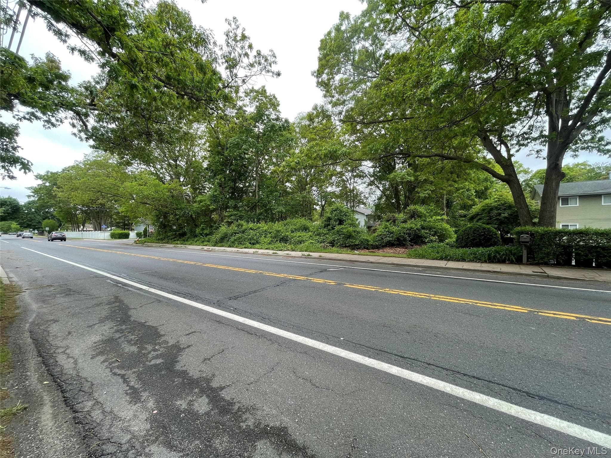91 W Plum Street thumbnail 4