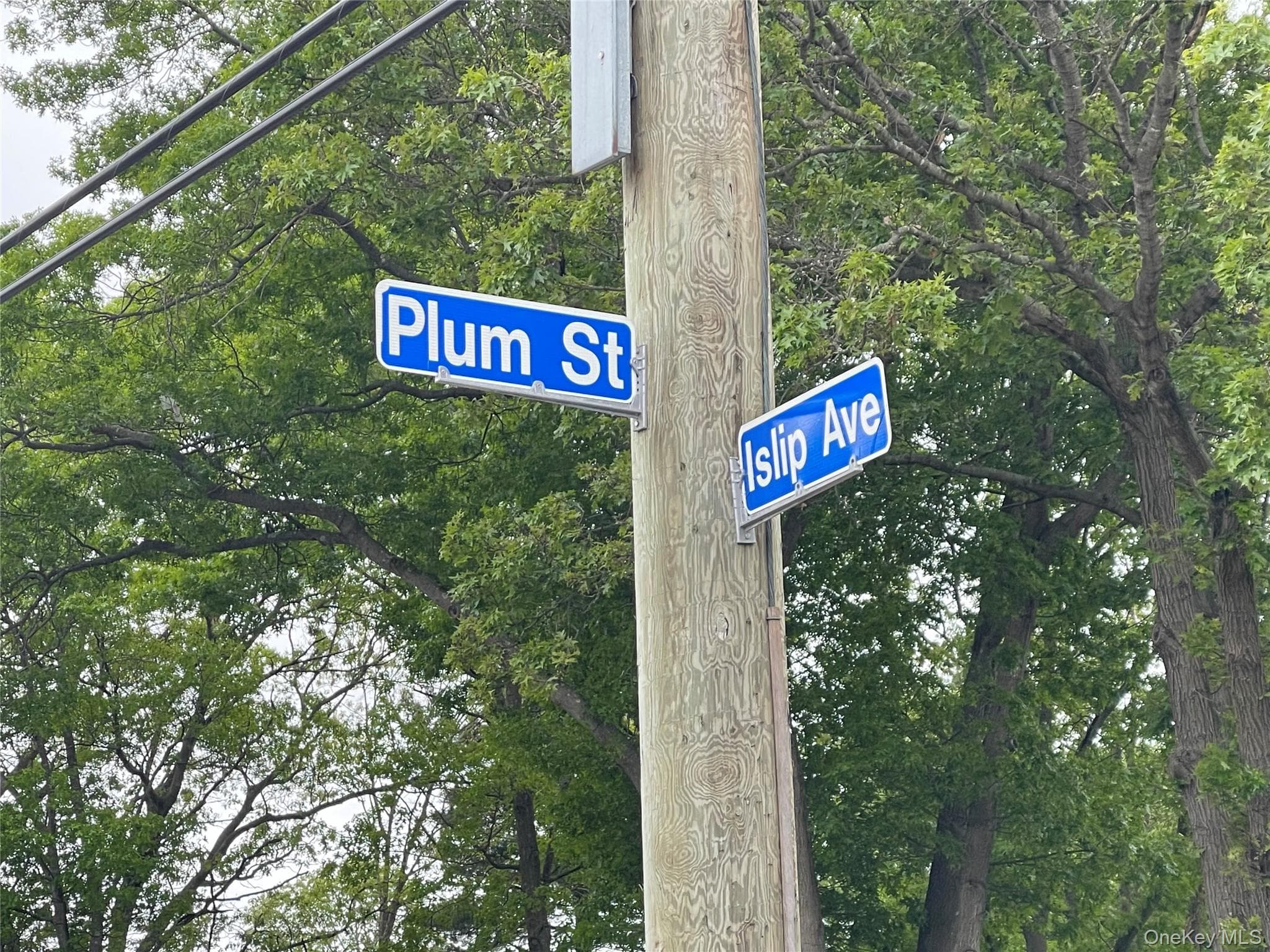 91 W Plum Street thumbnail 6
