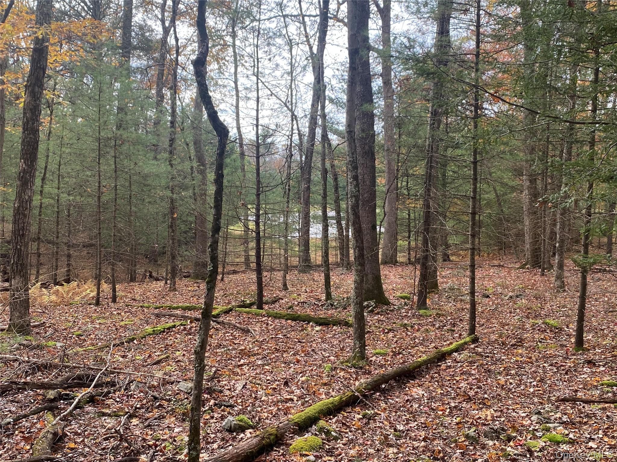 Split Rock Drive thumbnail 6