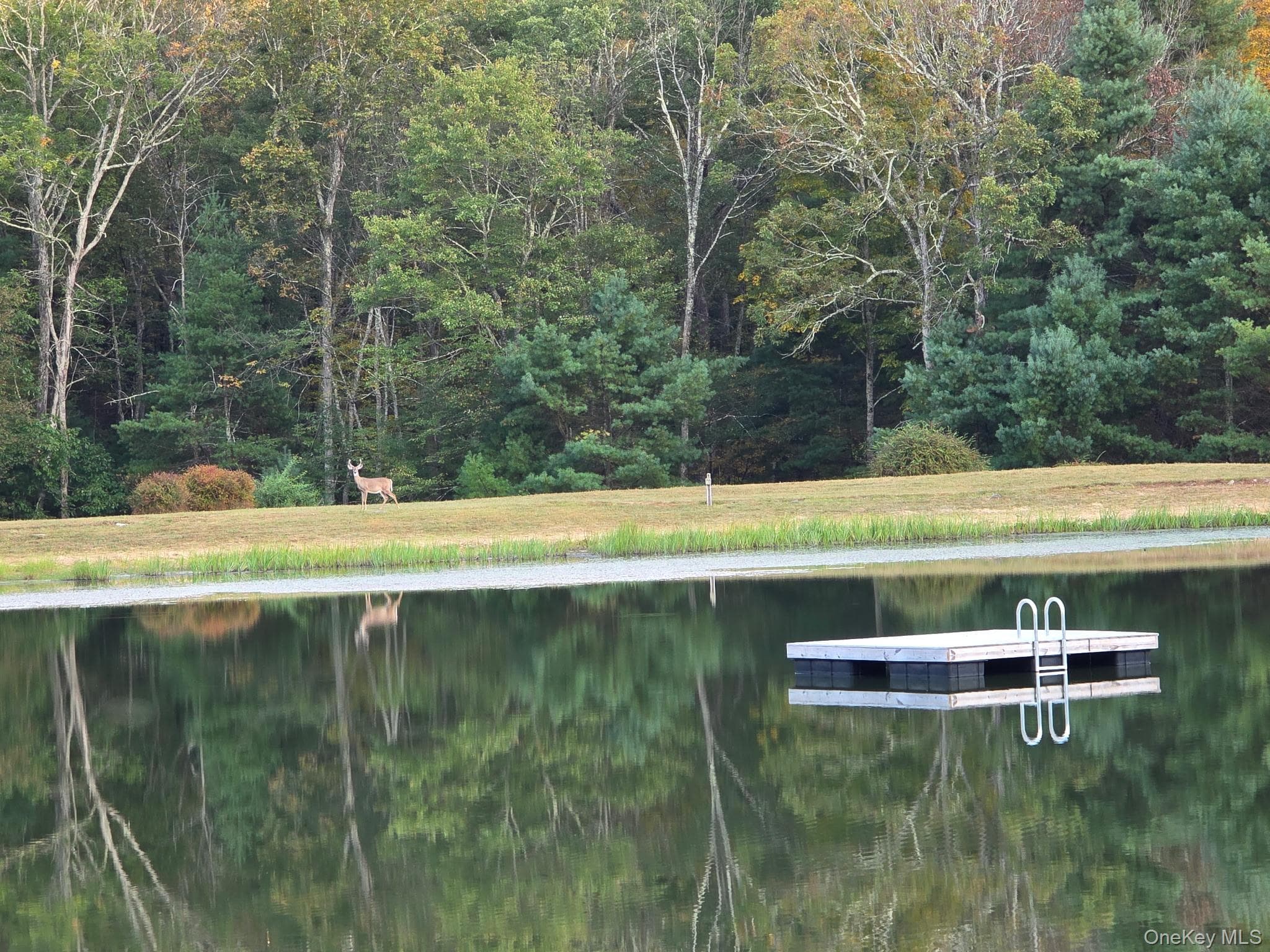 Split Rock Drive, Barryville