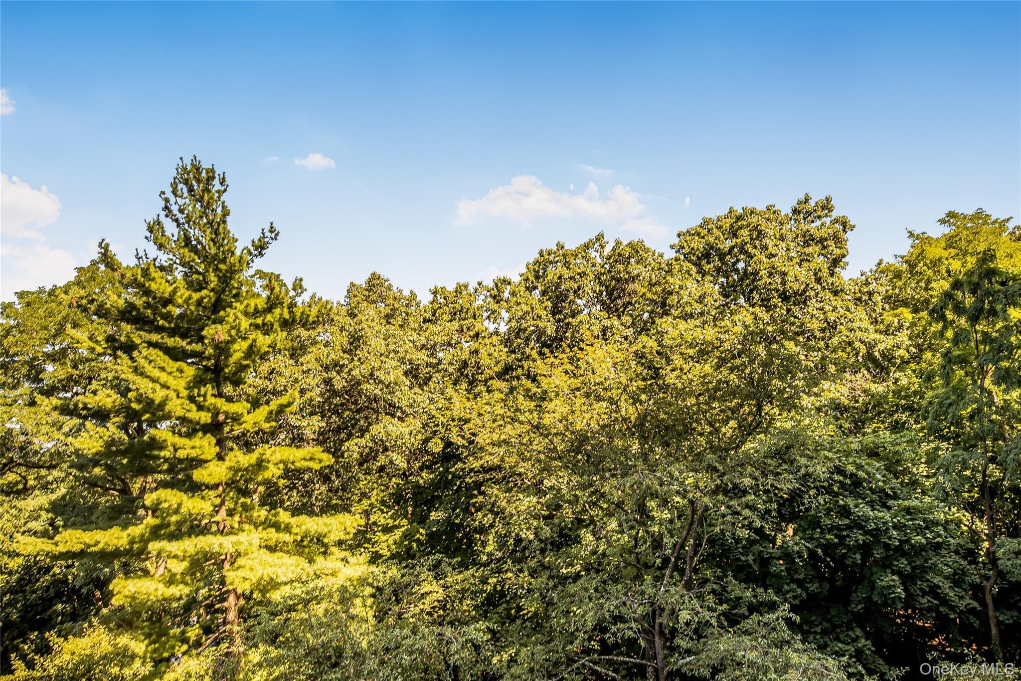 3935 Blackstone Avenue Unit: 4K thumbnail 11