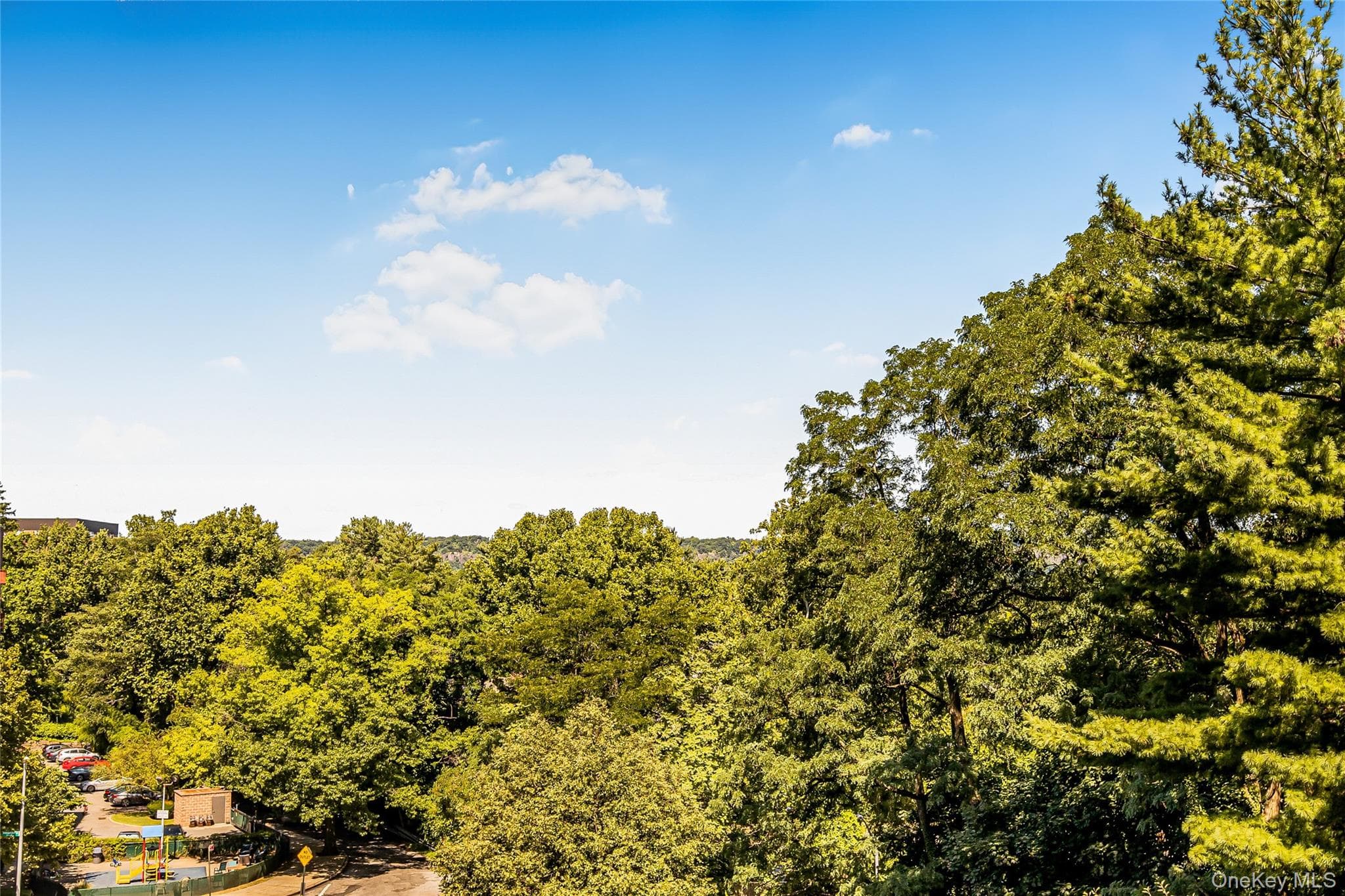 3935 Blackstone Avenue Unit: 4K thumbnail 10