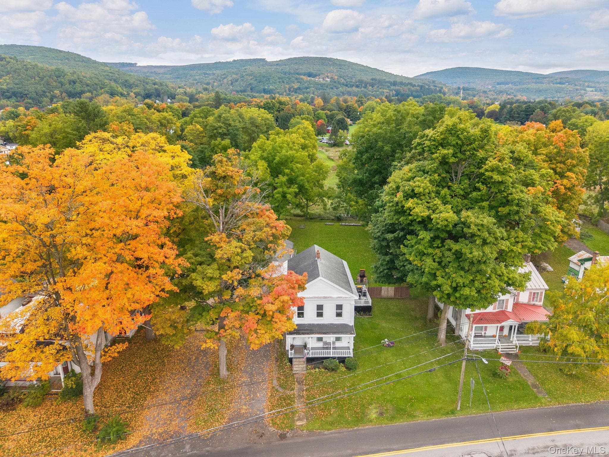 1558 Clauverwie Rd, Middleburgh RD thumbnail 45