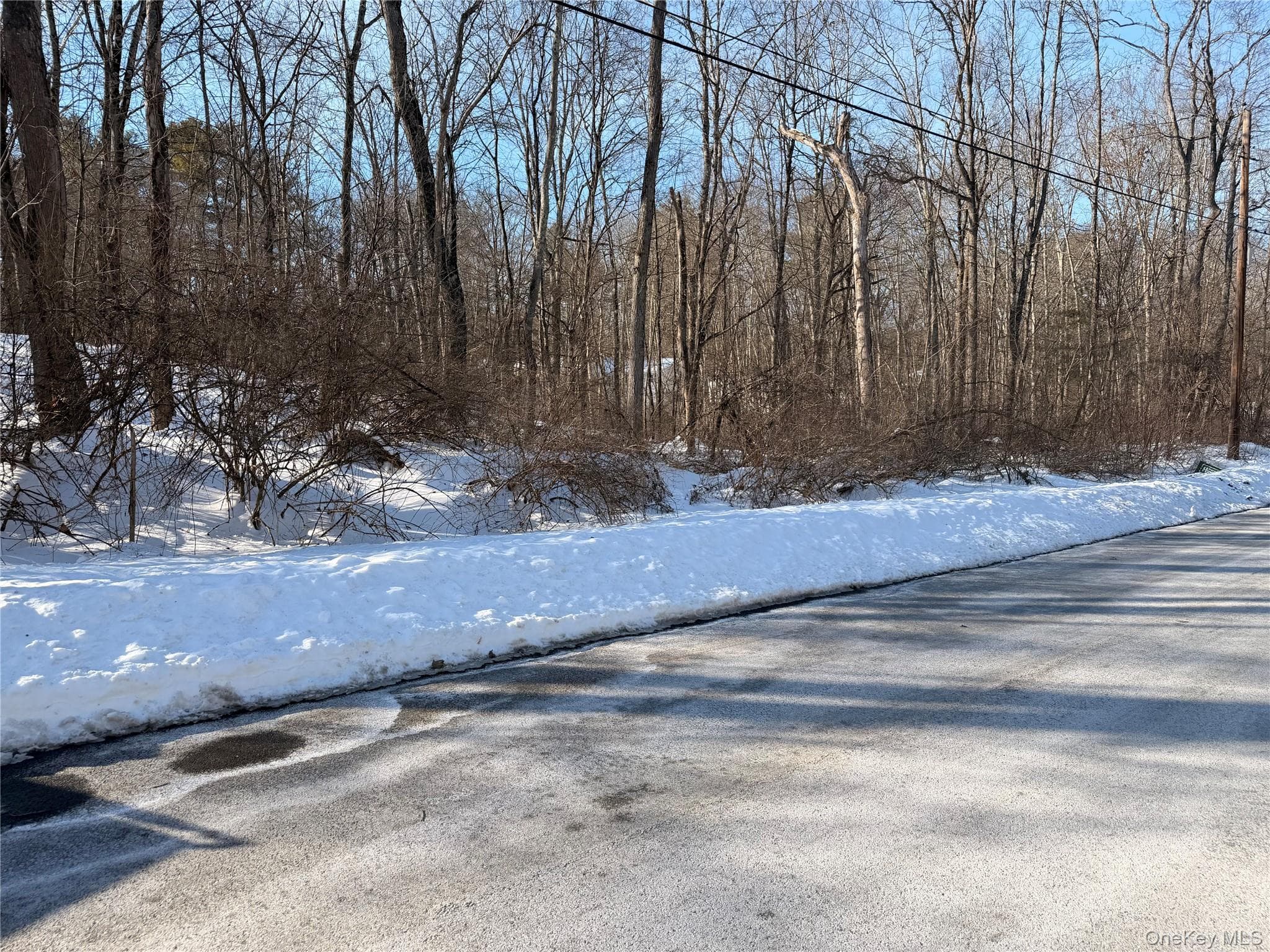 11 White Birch Road thumbnail 6