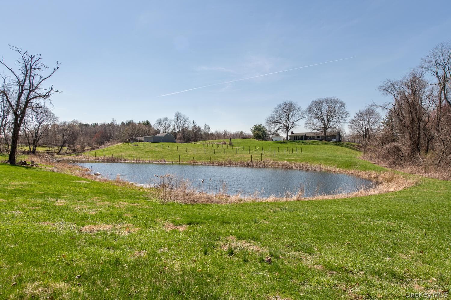 394 Smith Road thumbnail 41