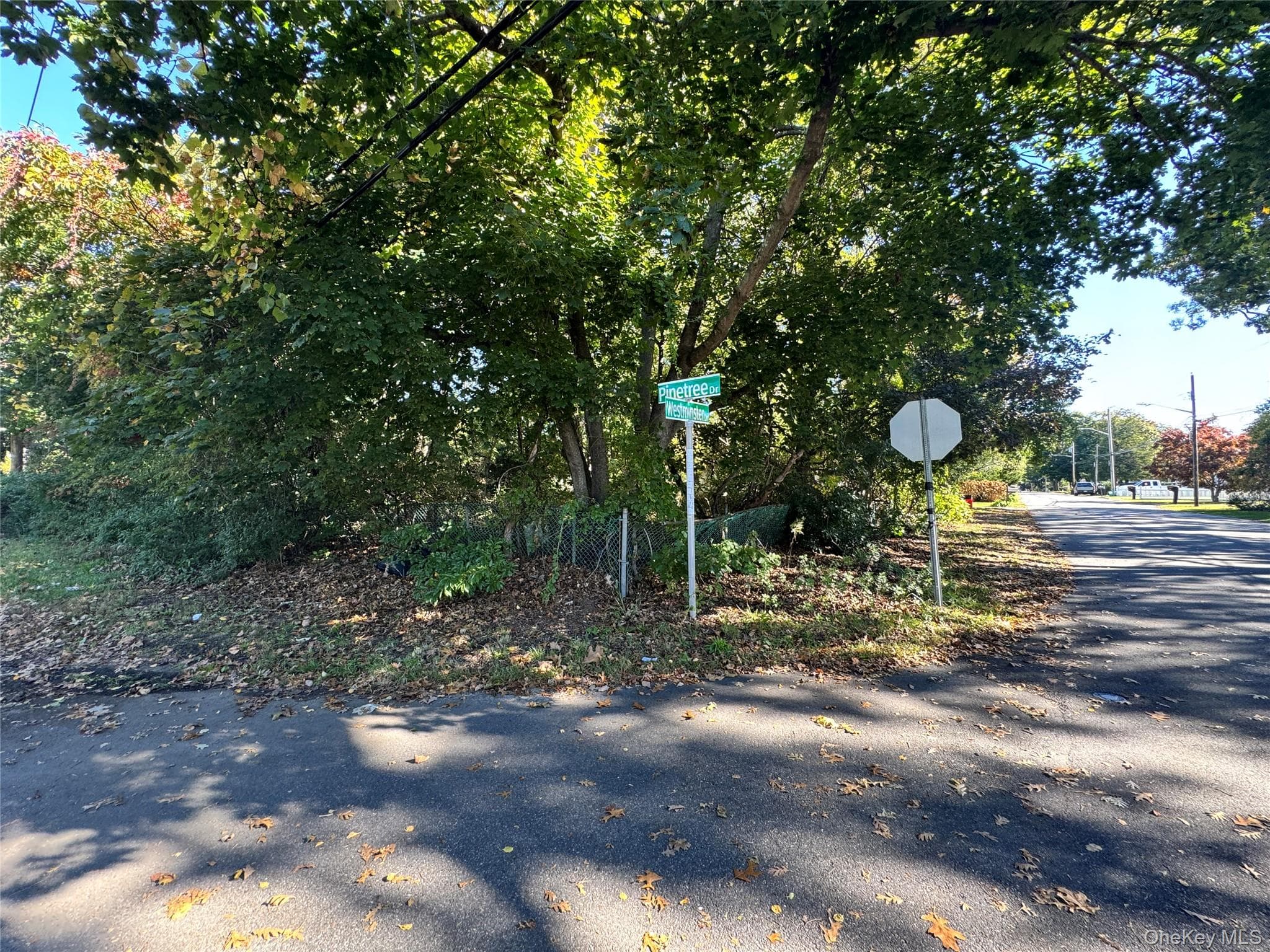 Lot #35 Westminster Drive thumbnail 2