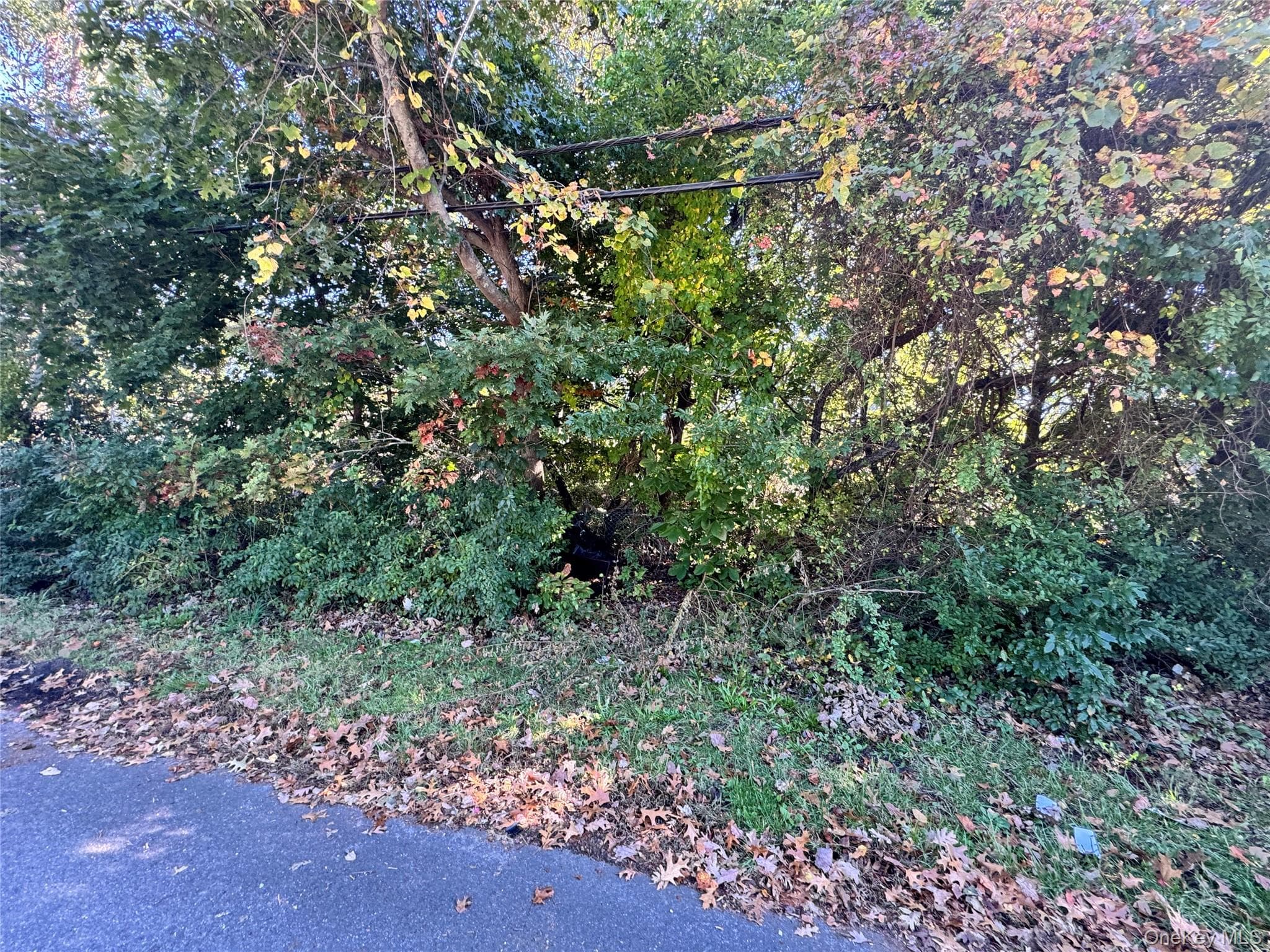 Lot #35 Westminster Drive, Shirley