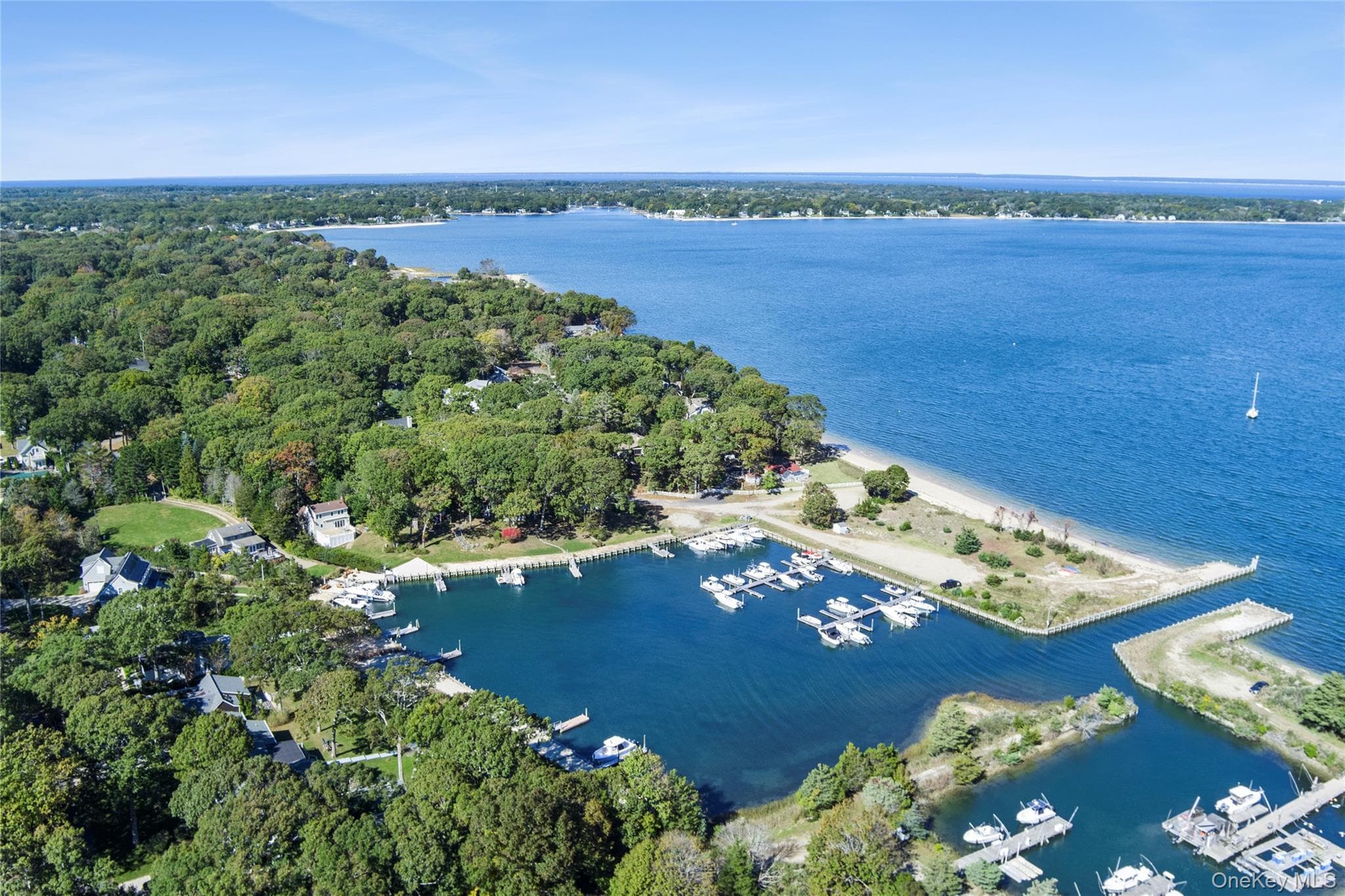 650 Grove Drive thumbnail 24