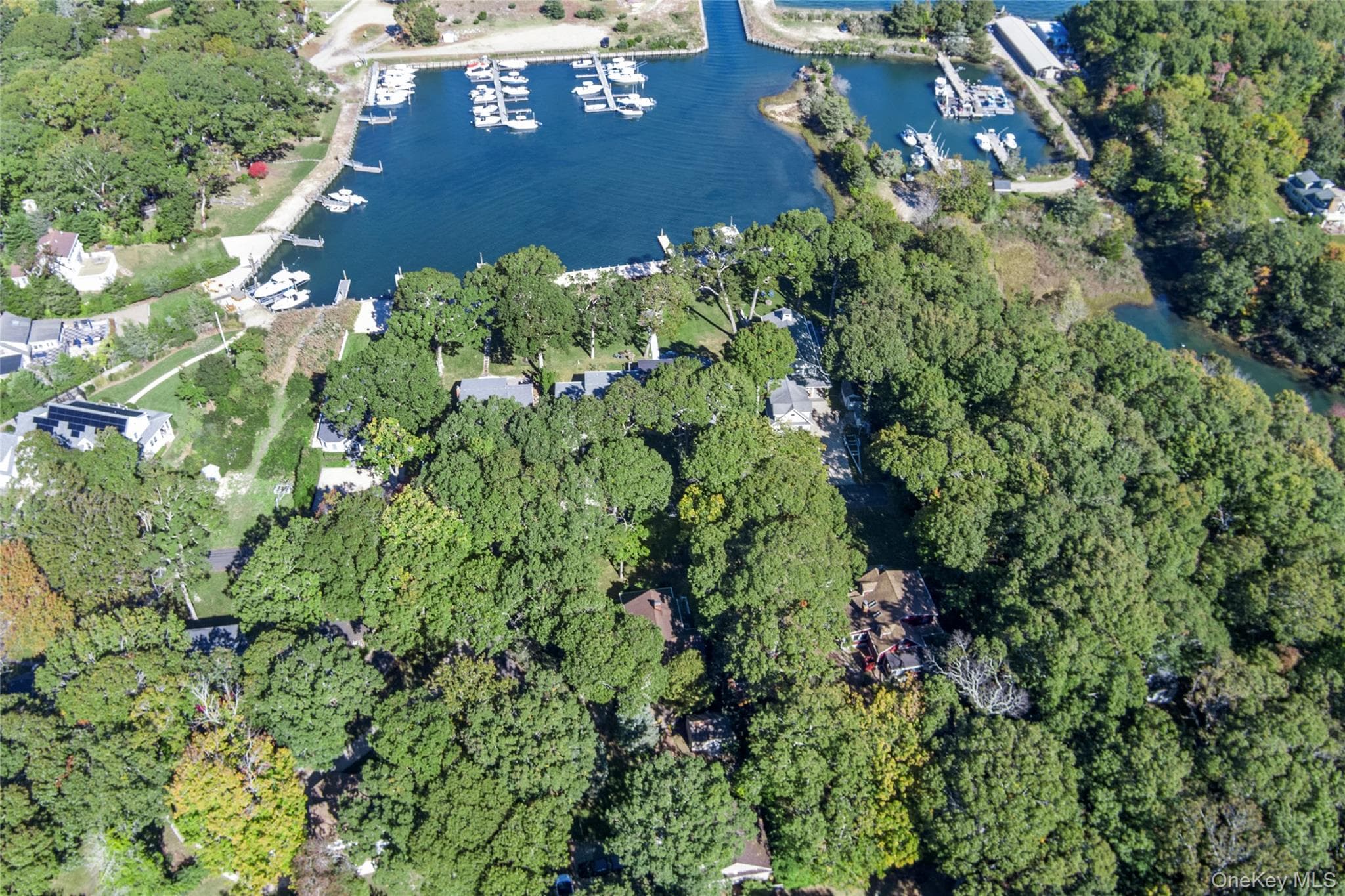 650 Grove Drive thumbnail 22
