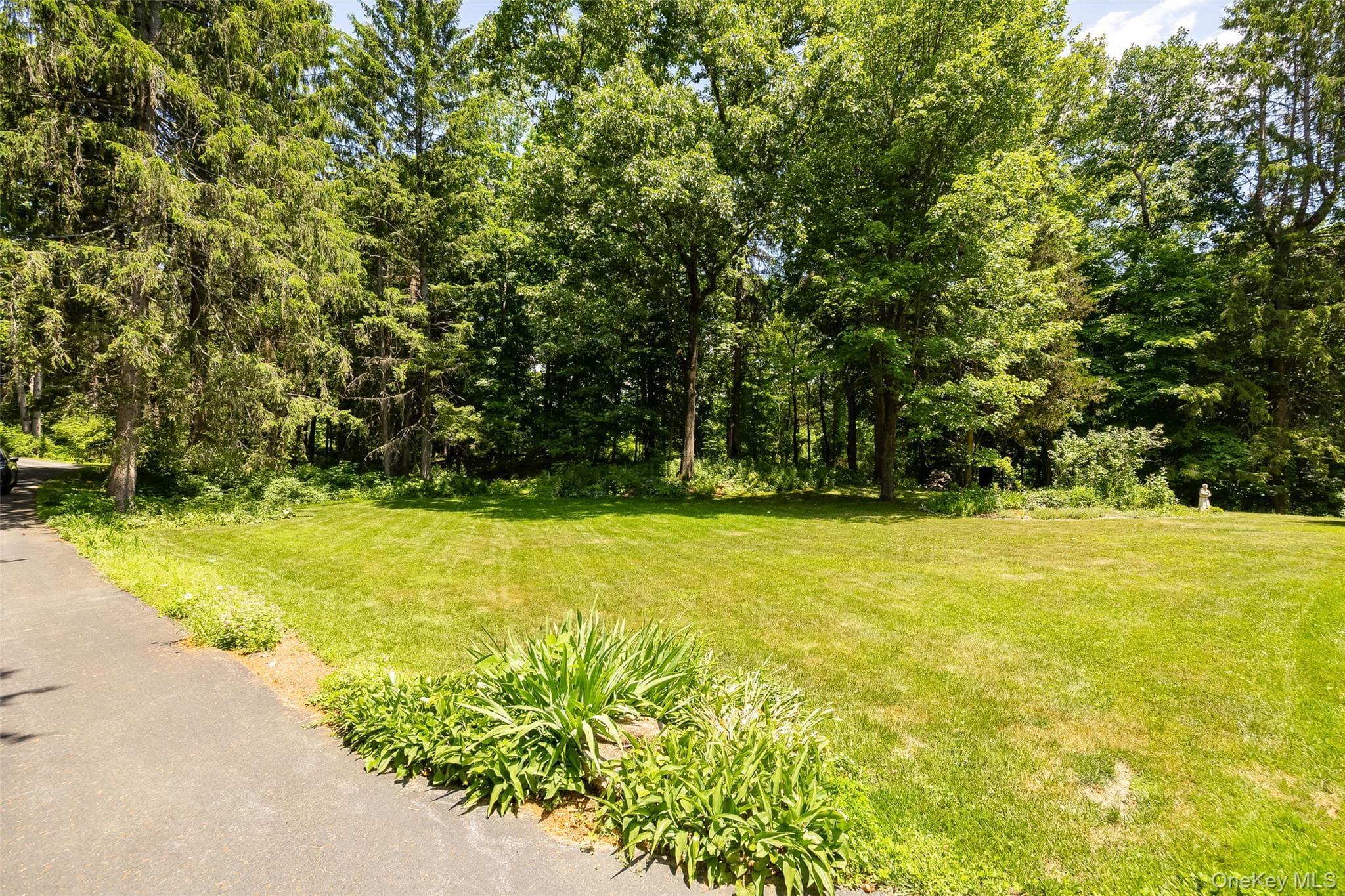 326 Mills Cross Road thumbnail 32