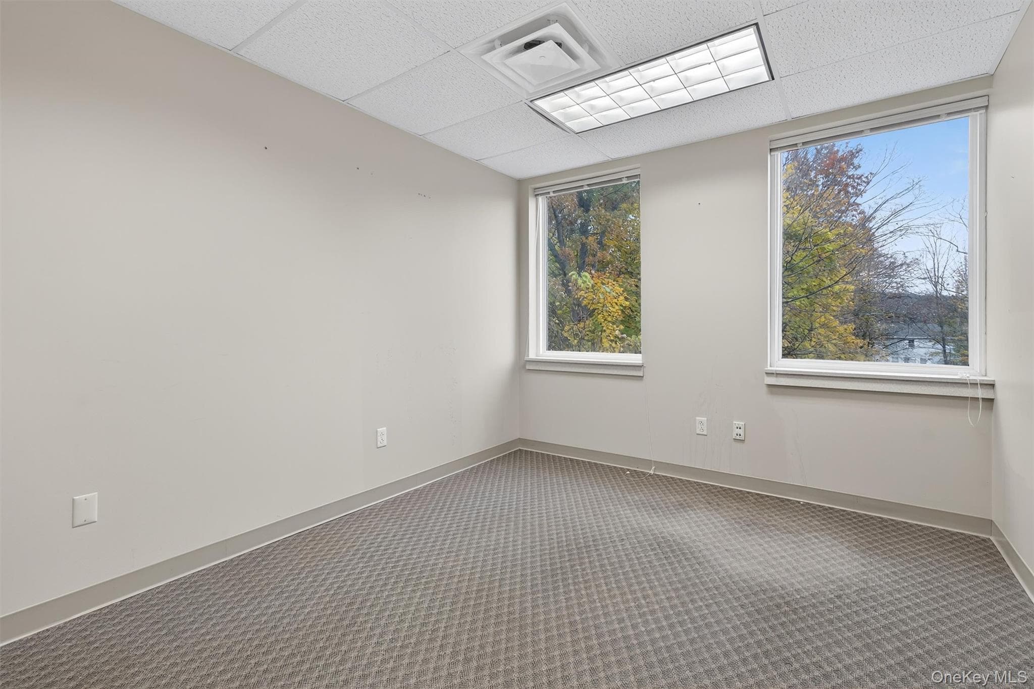 161 E Main Street thumbnail 19