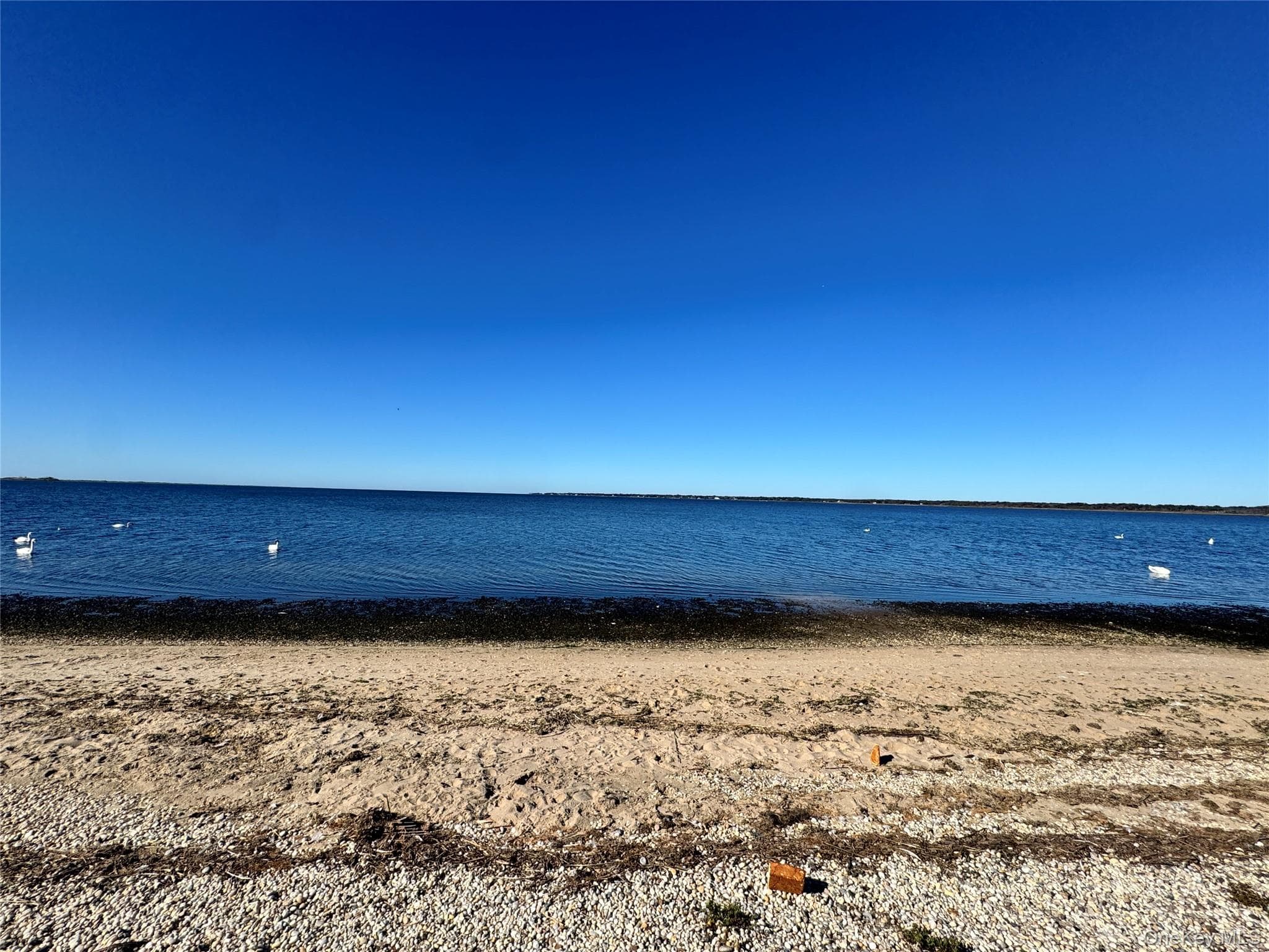 Lot #36 Westminster Drive thumbnail 8