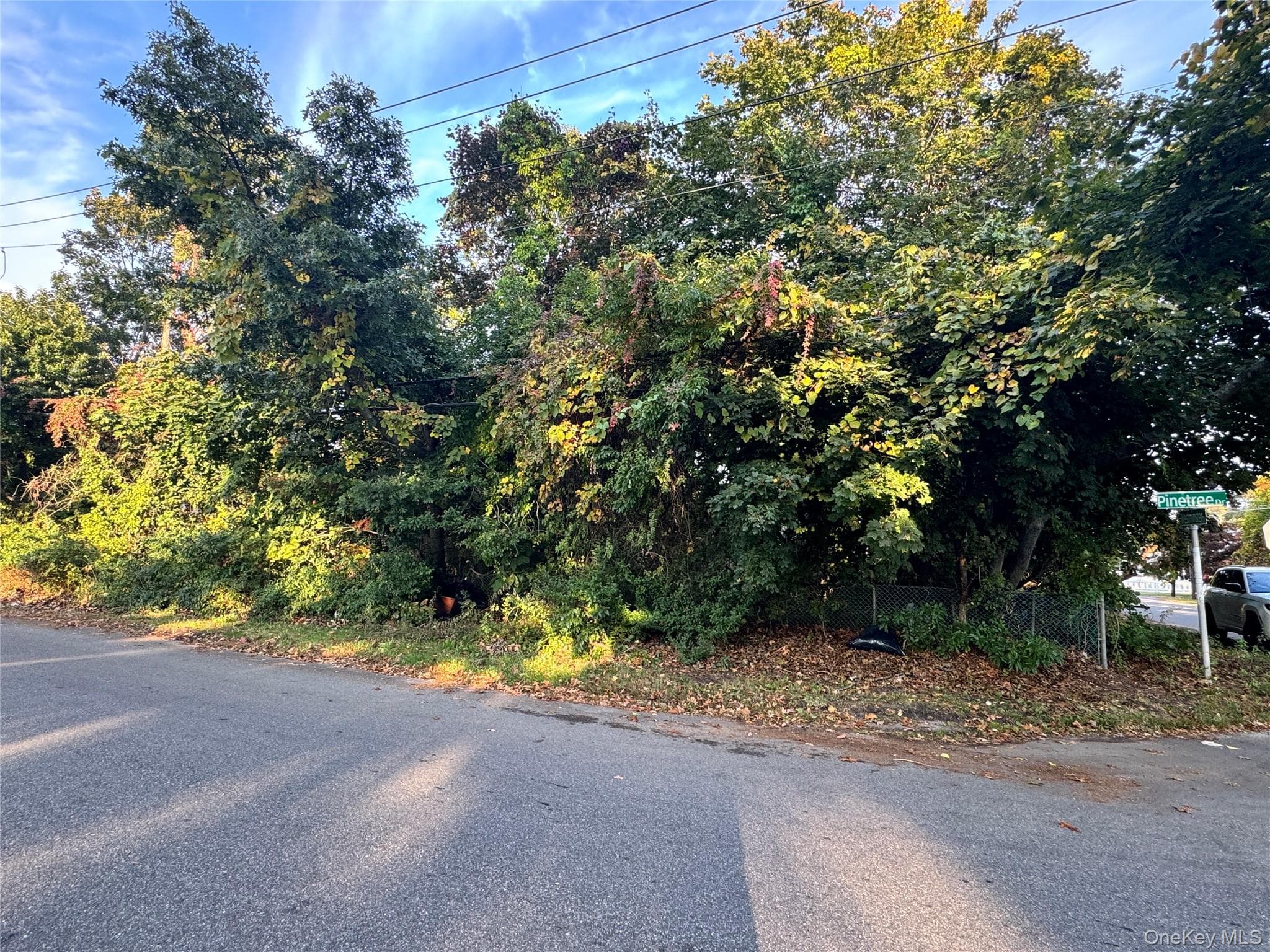 Lot #36 Westminster Drive thumbnail 2