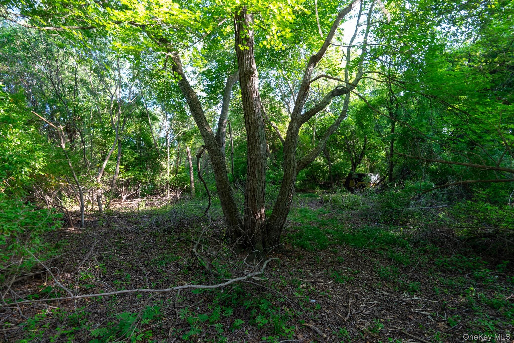 357 Smithtown Boulevard thumbnail 38