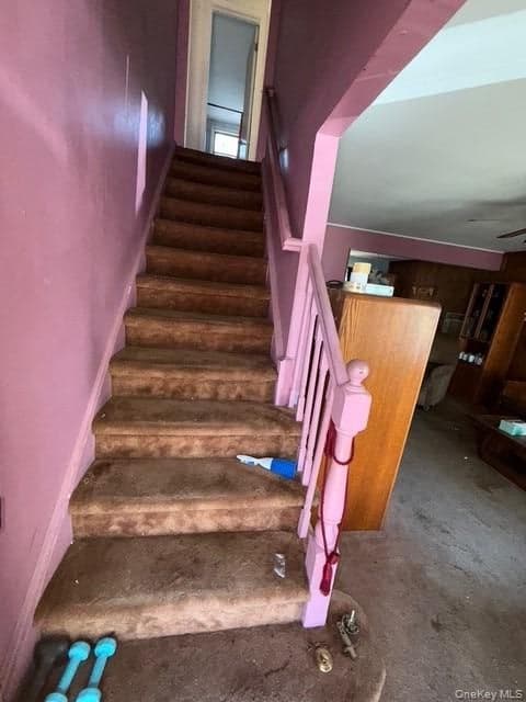 35 Marlow Road thumbnail 11