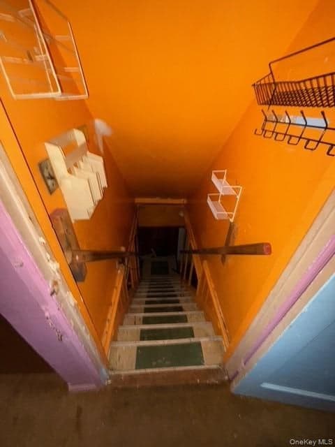 35 Marlow Road thumbnail 9