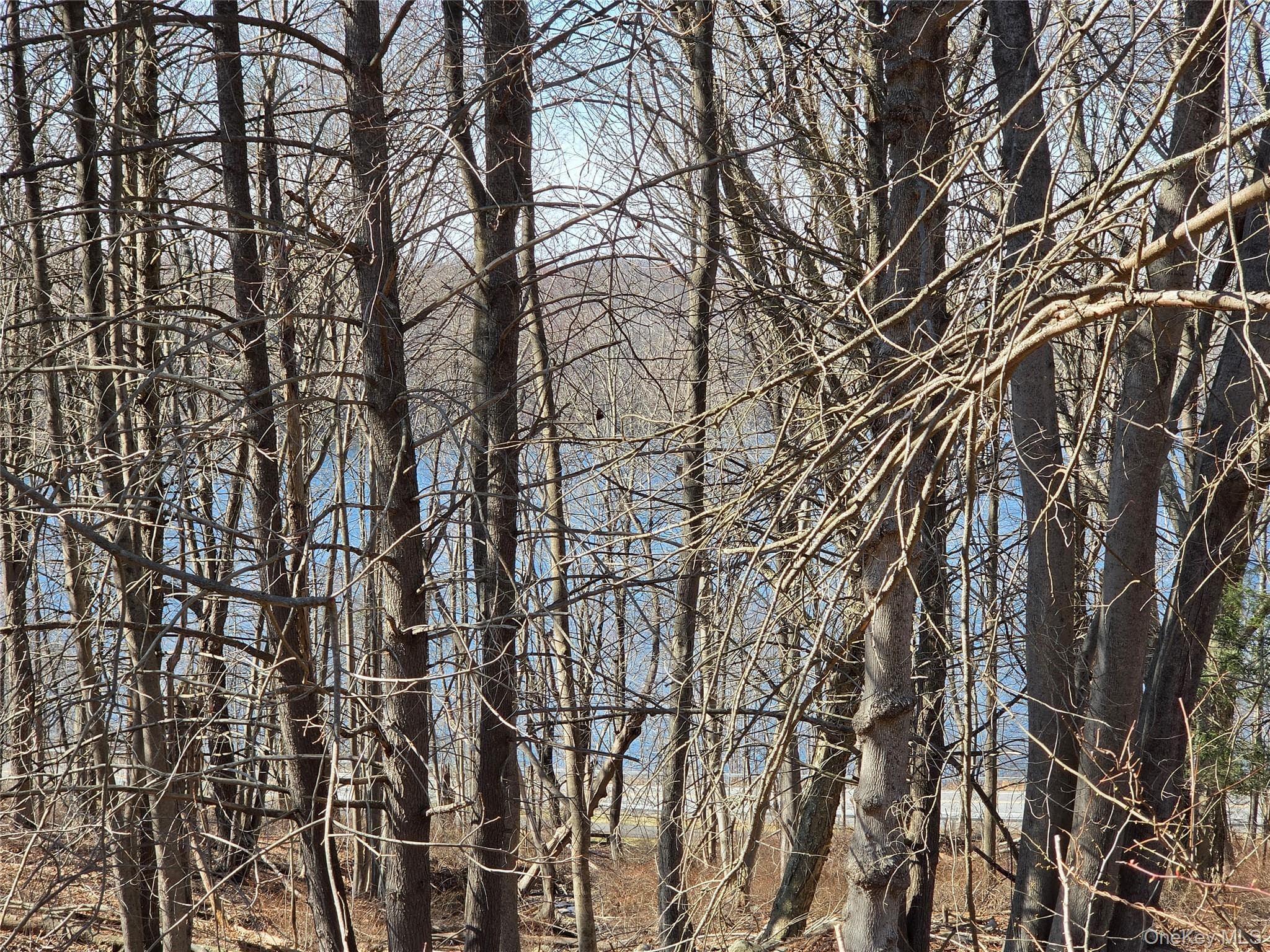 6 Willow Road thumbnail 6