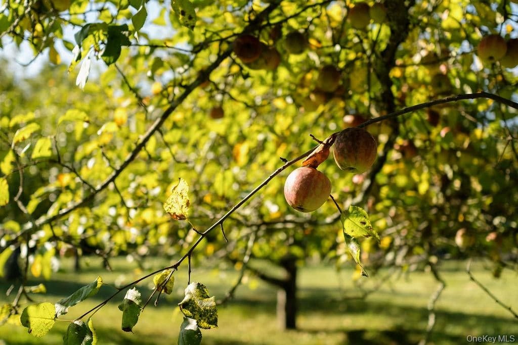 316-320 Clinton Hollow Road thumbnail 42
