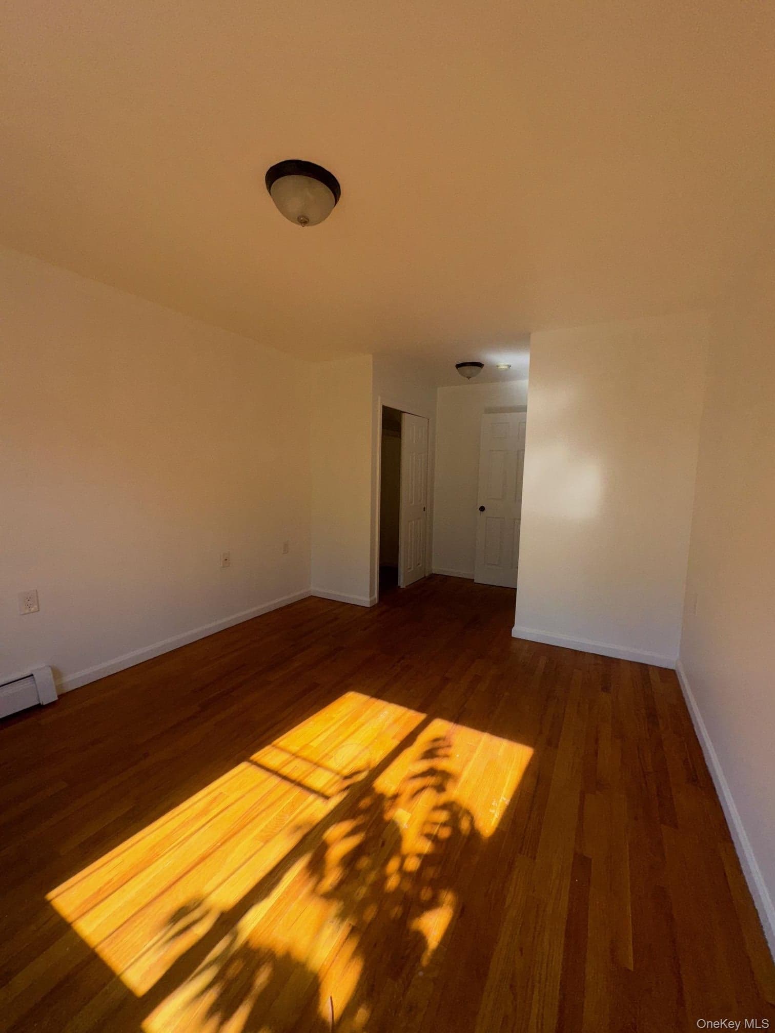 631 Coster Street thumbnail 11