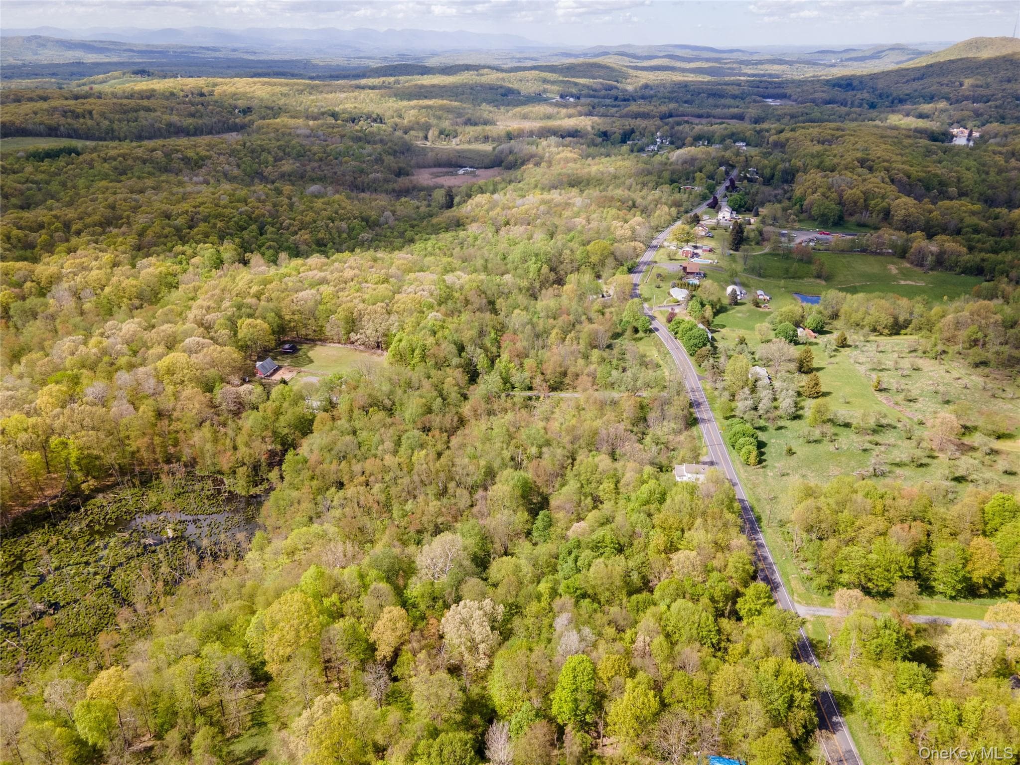 217 Tuckers Corners Road thumbnail 20