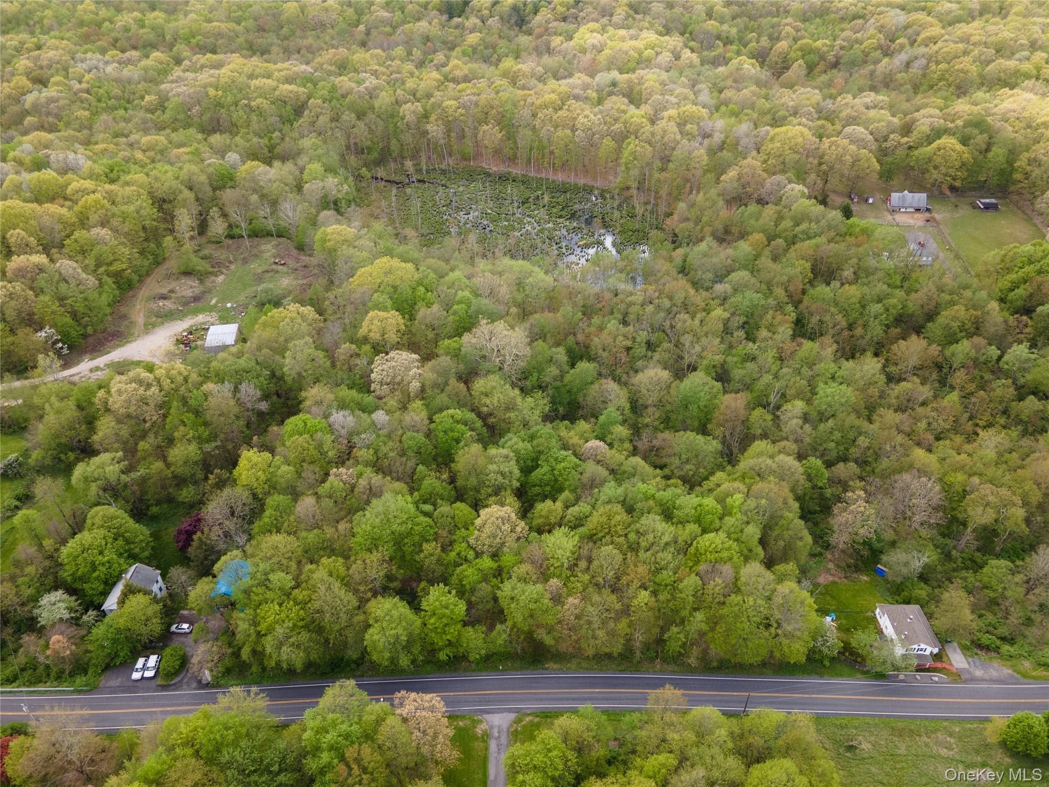 217 Tuckers Corners Road thumbnail 16
