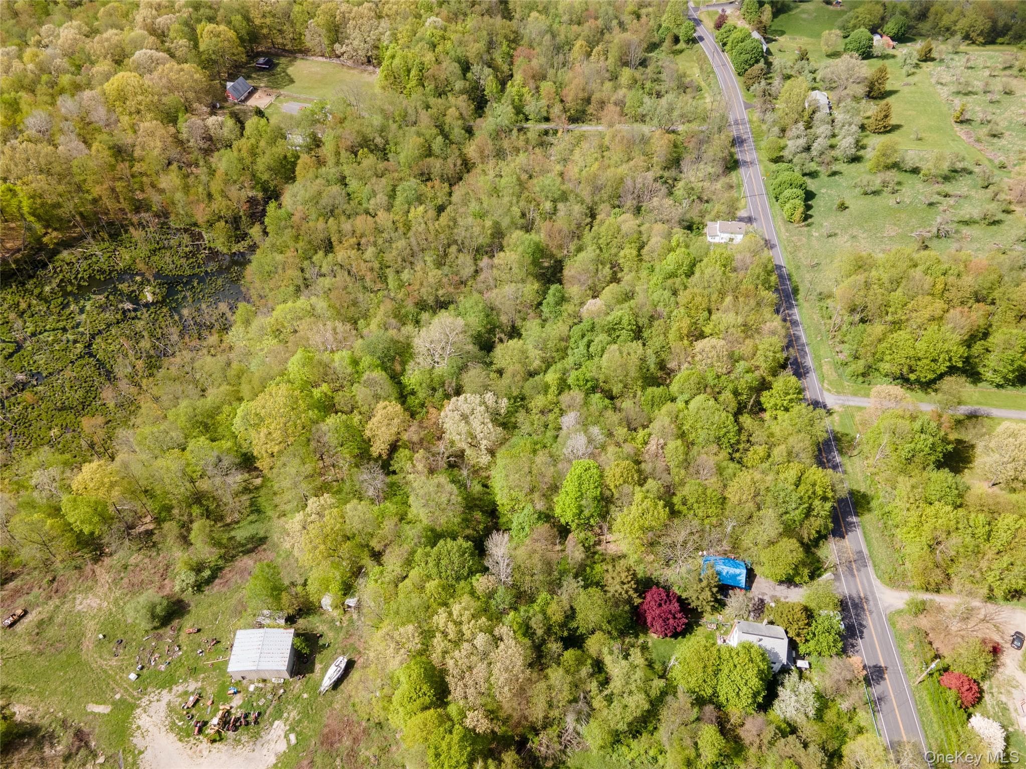 217 Tuckers Corners Road thumbnail 19