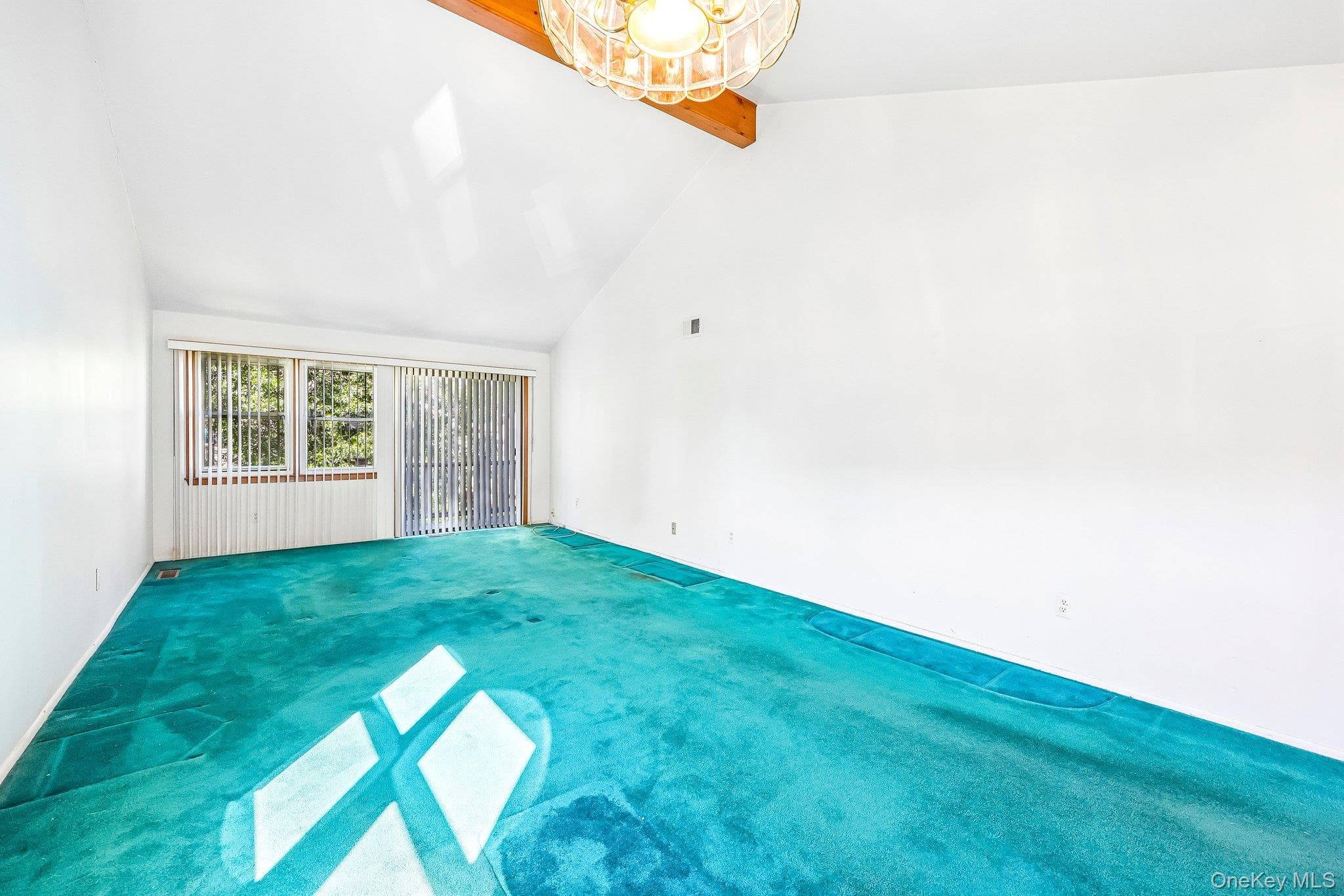 135 W Nyack Road Unit: 118 thumbnail 12