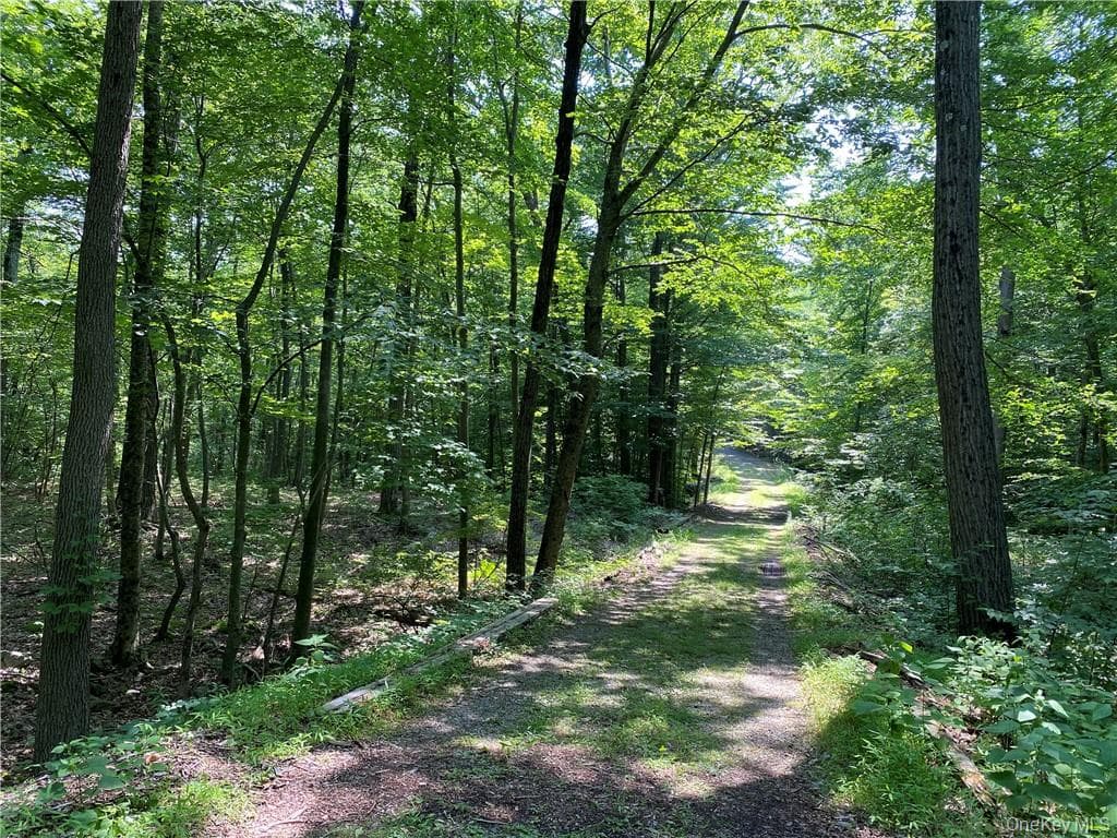 554 & 545 E Mountain Road thumbnail 6