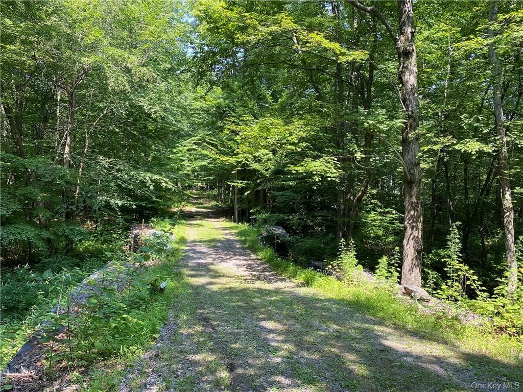 554 & 545 E Mountain Road thumbnail 5