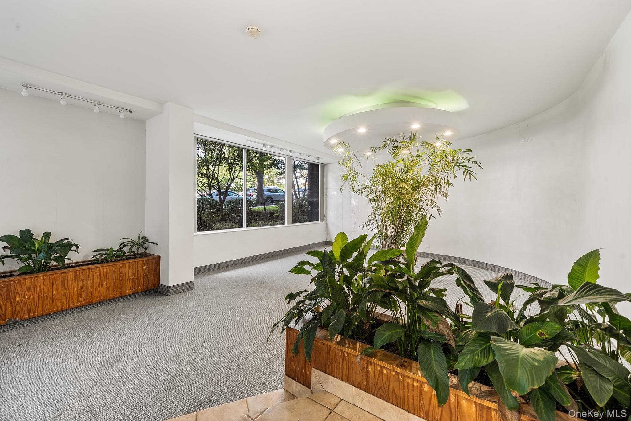 87-15 165th Street Unit: 5E thumbnail 13