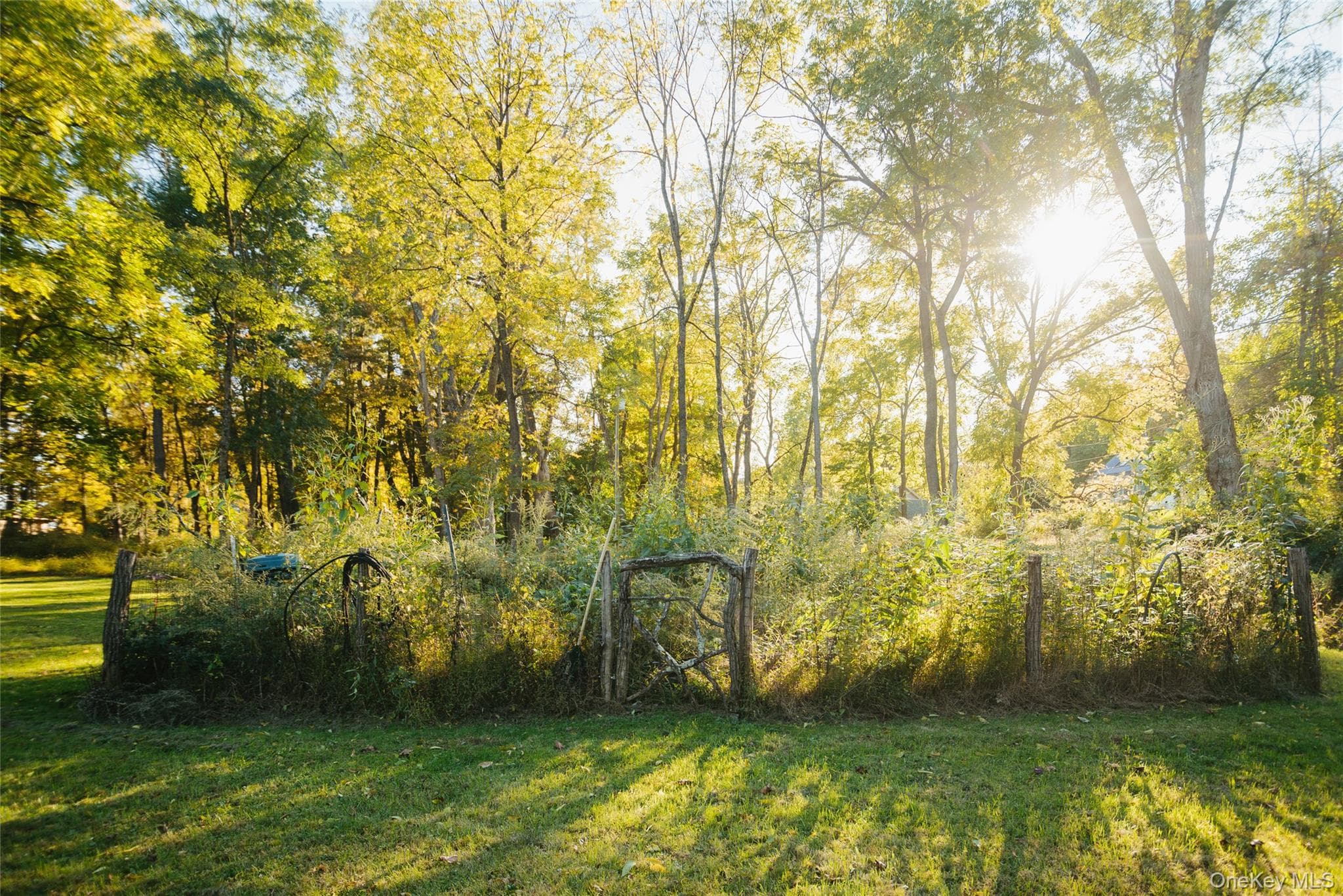 1040 Creek Locks Road thumbnail 28