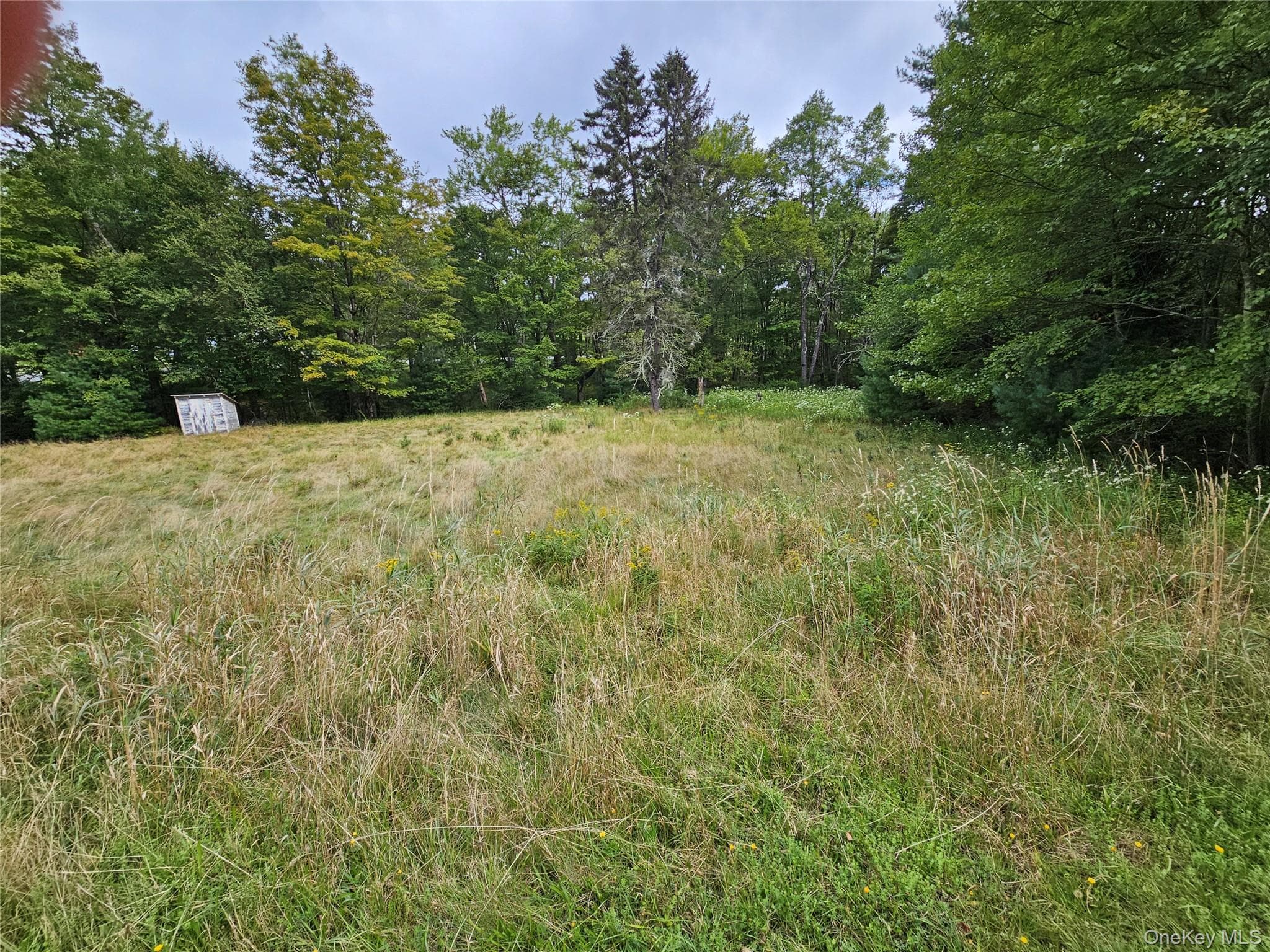 Flower Ave. & State Route 55 photo 1