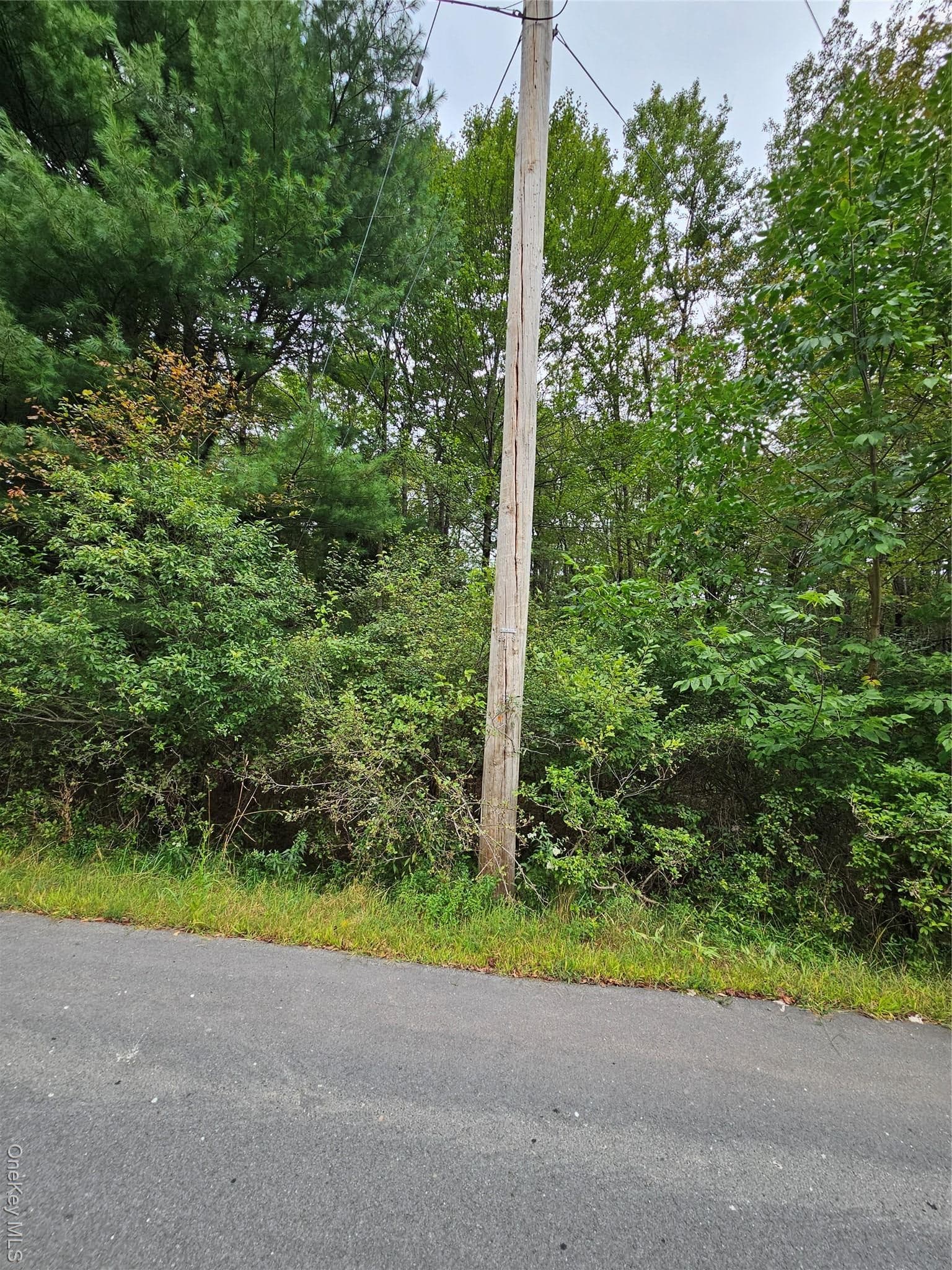 Flower Ave. & State Route 55 thumbnail 20