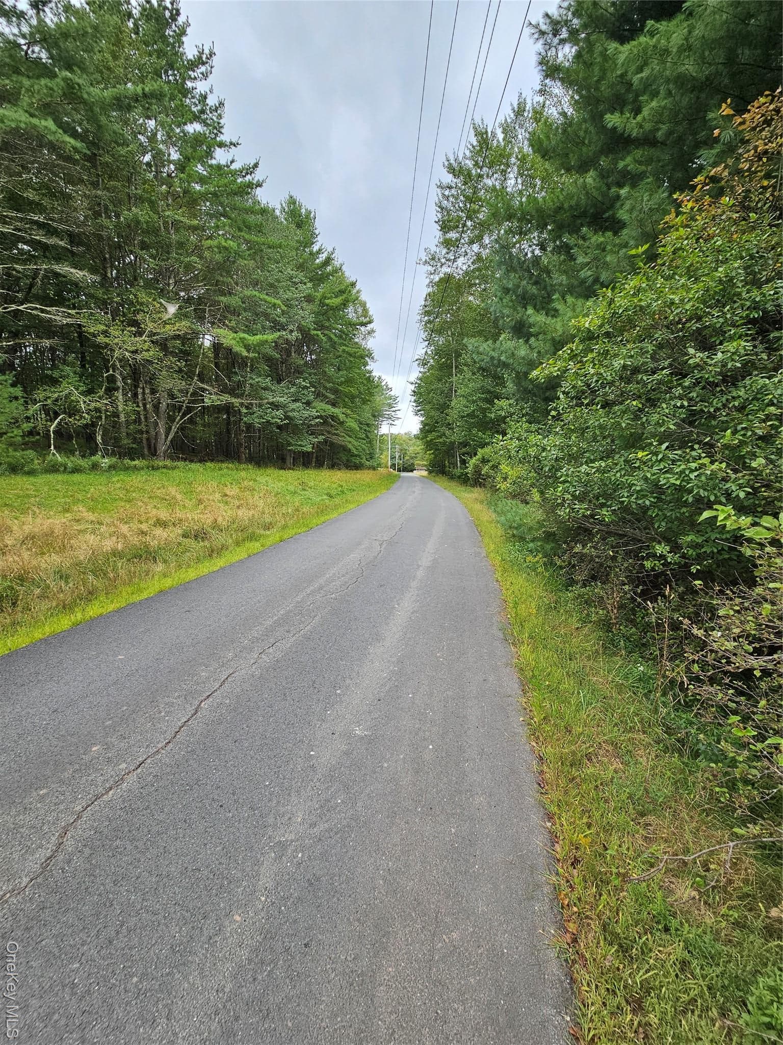 Flower Ave. & State Route 55 thumbnail 21
