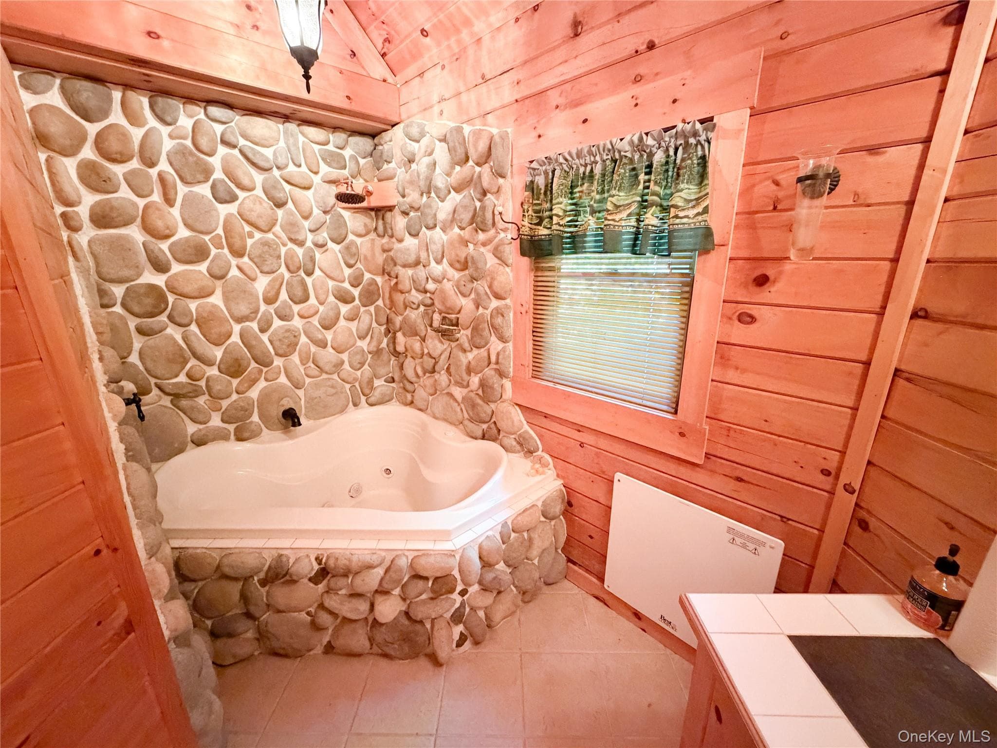 836 Emerald Lake Road thumbnail 12