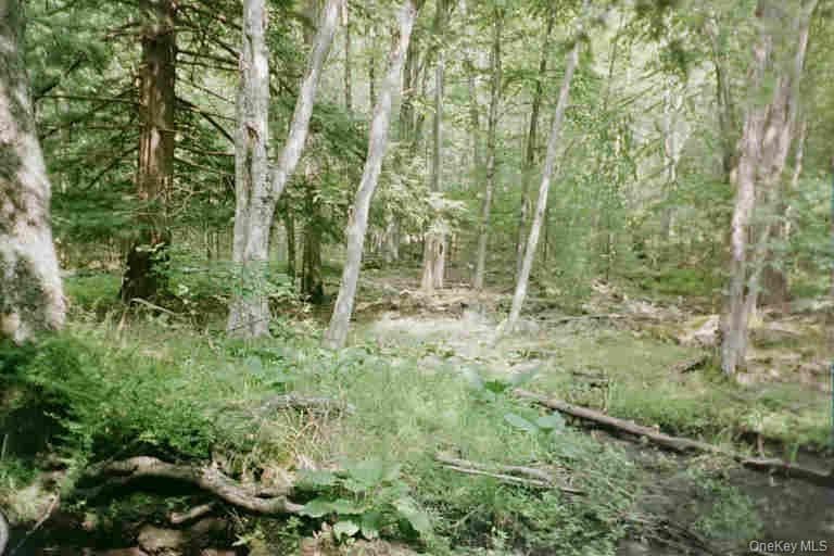 Lot 59.2 Lower Lumber Road thumbnail 2
