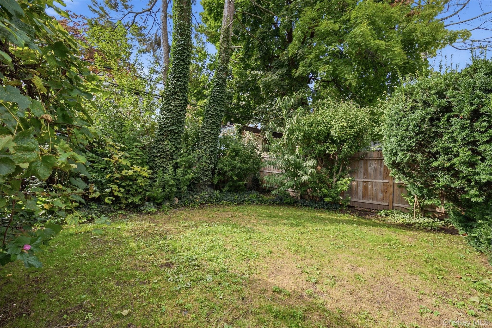 342 Westminster Road thumbnail 19