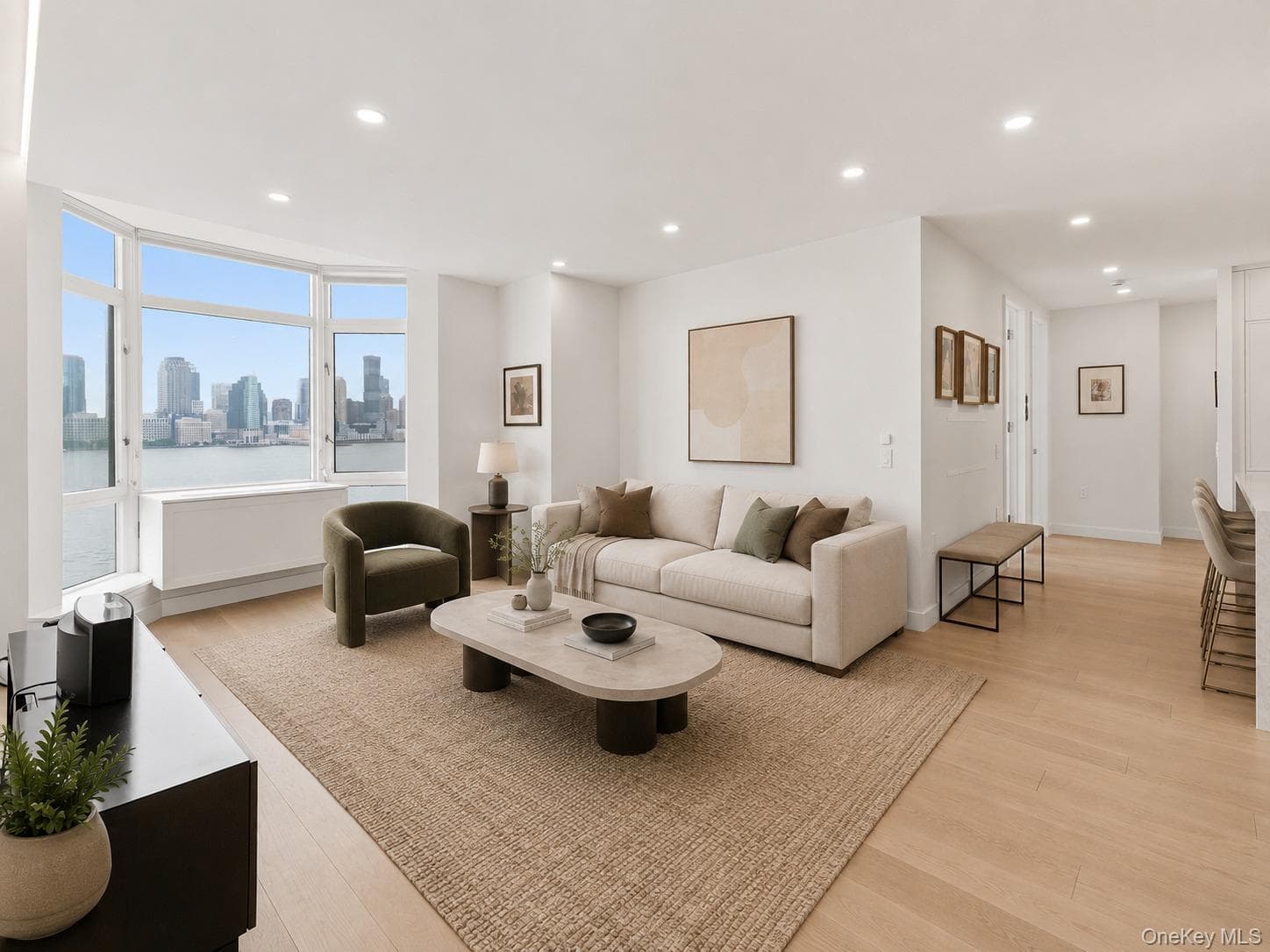 350 Albany Street Unit: 10BC thumbnail 4