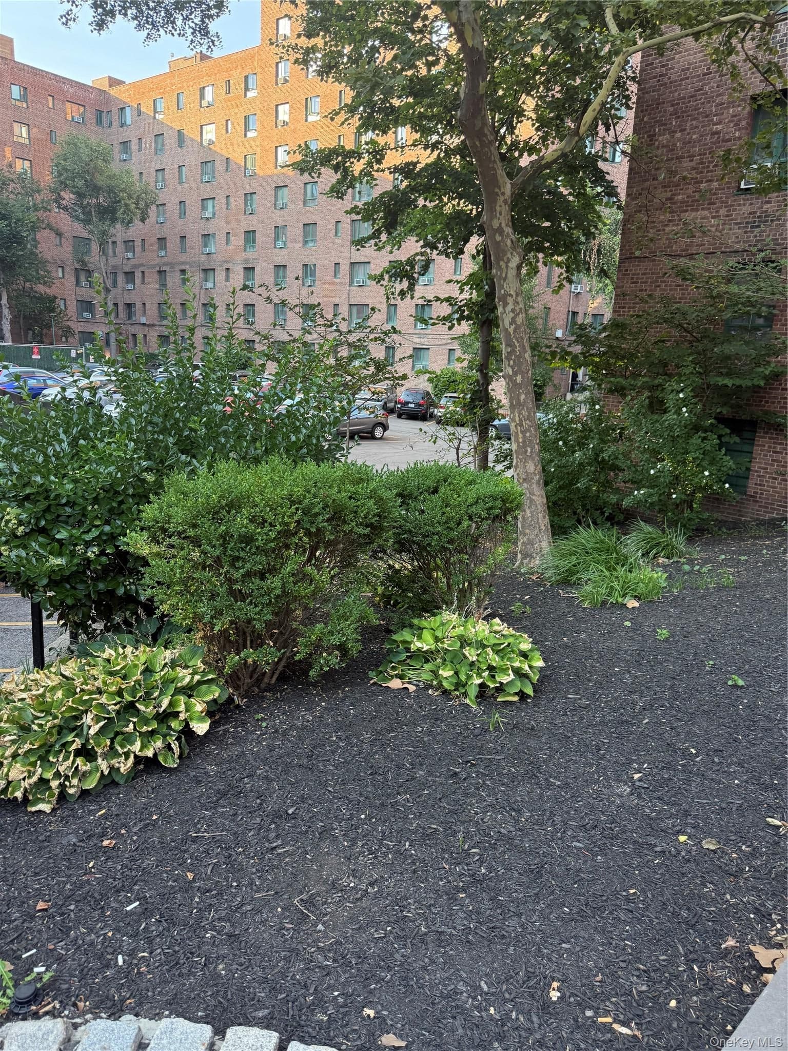11 Metropolitan Oval Unit: 7B thumbnail 3