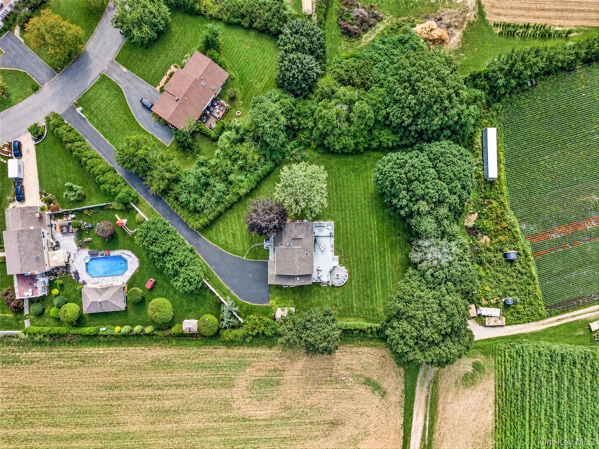 117 Southfield Road thumbnail 49