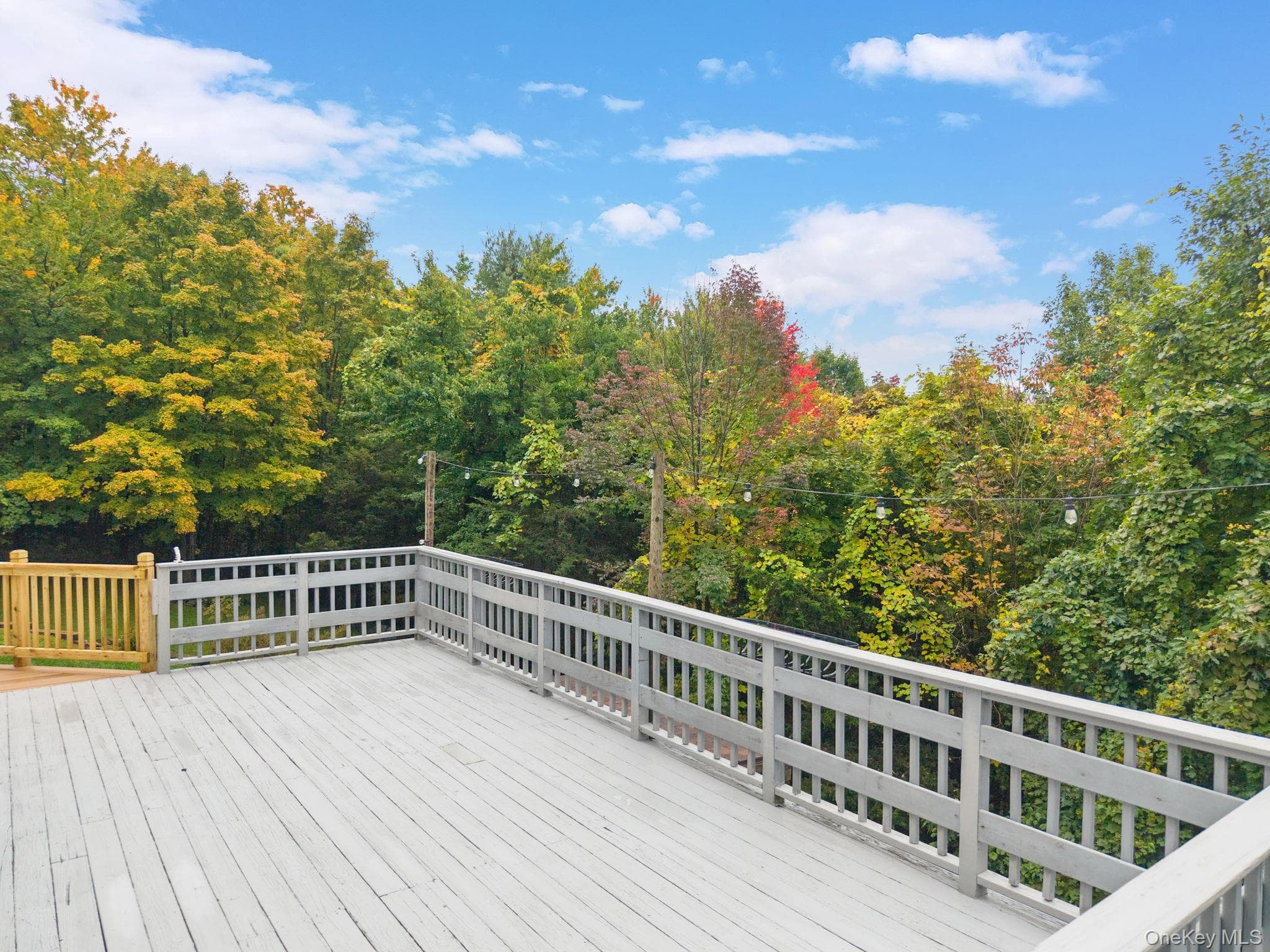 200 High Pine Meadows Rd, Middleburgh Ny Road thumbnail 2